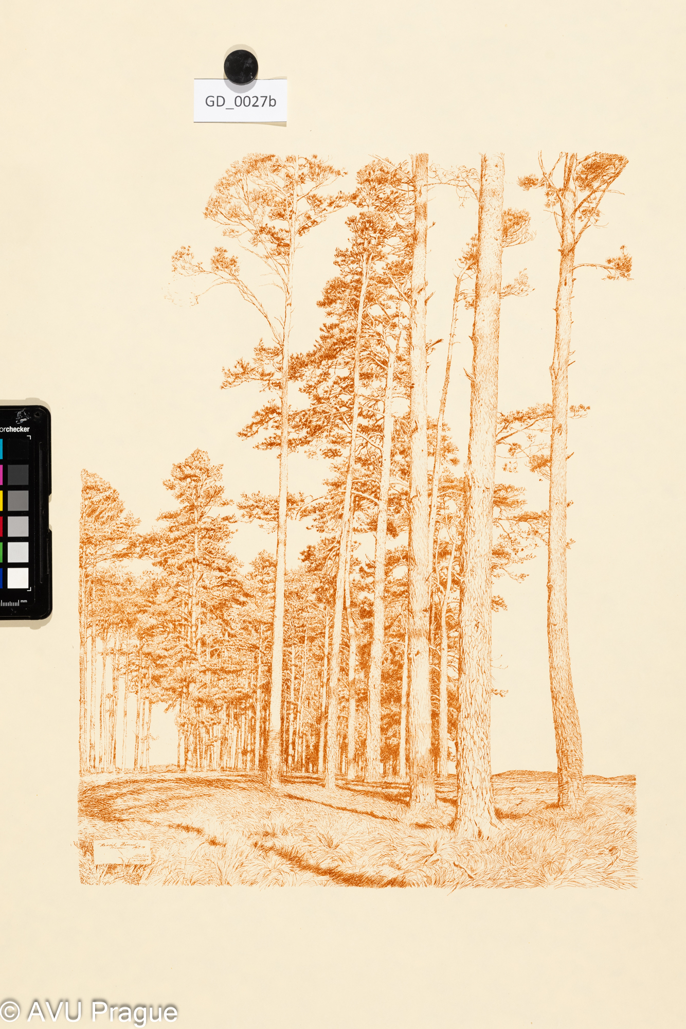 Heinrich Hönich, Alle - Alej, Föhren (1912),1917,Litografie - kresba perem, 42,7 x 32,2, papír - 70,1 x 50,Hönich - Zehn Litographie von Heinrich Hönich