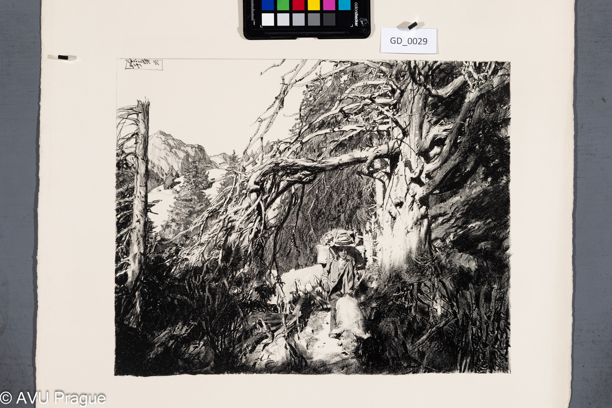 Heinrich Hönich, Aus dem Berner Oberland - Z Bernské vysočiny, 1917, Litografie, 30 x 38,8, papír - 67 x 52, Hönich Zehn Litographie von Heinrich Hönich