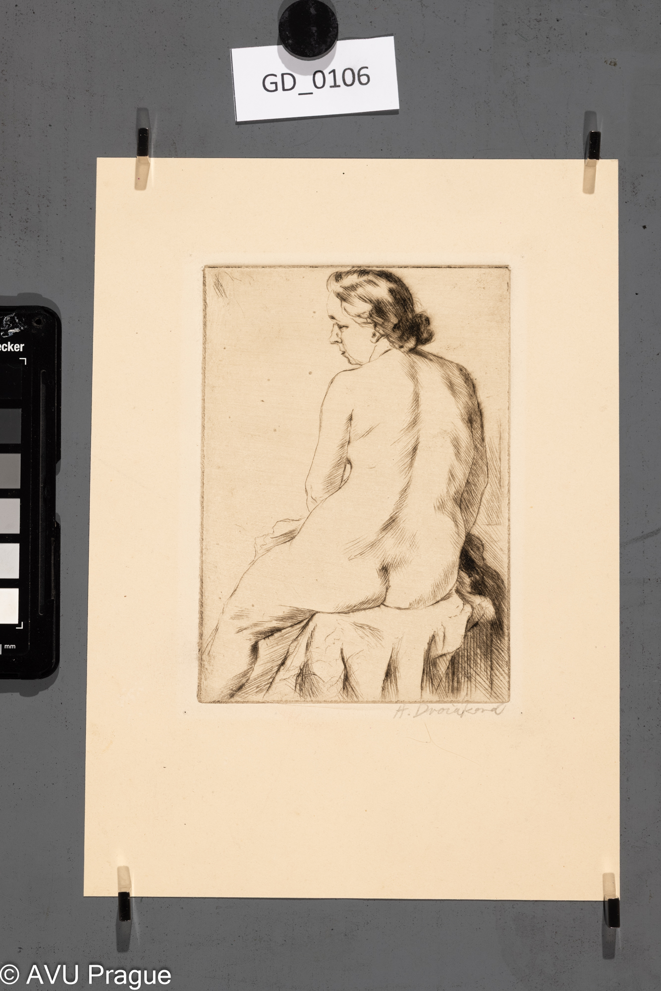 Anna Dvořáková; Akt ženy; Suchá jehla; 14,6 x 10,3; 24,8 x 17,3; Silovský