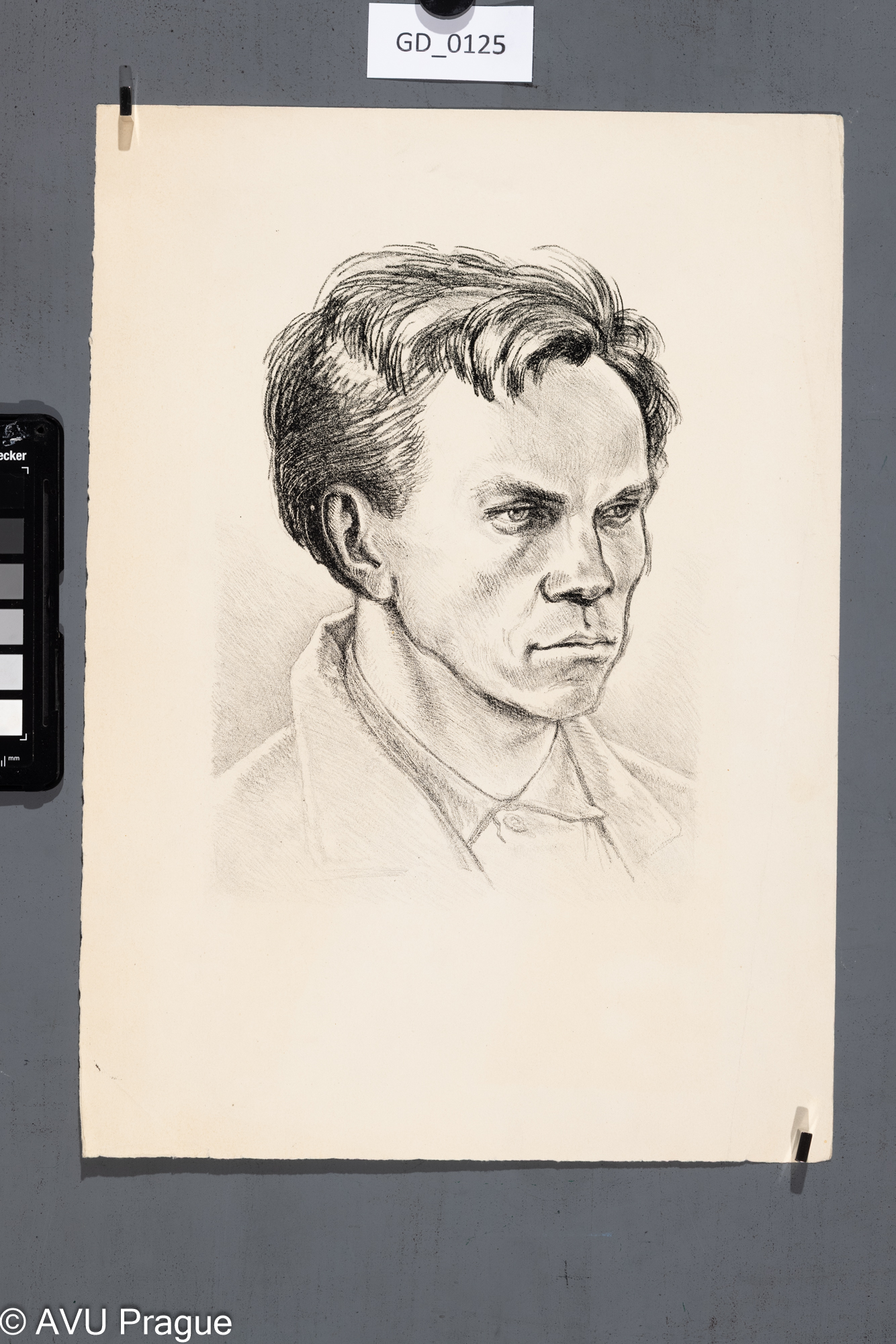 Nezjištěn; Hlava mladého muže;Litografie; 35 x 25