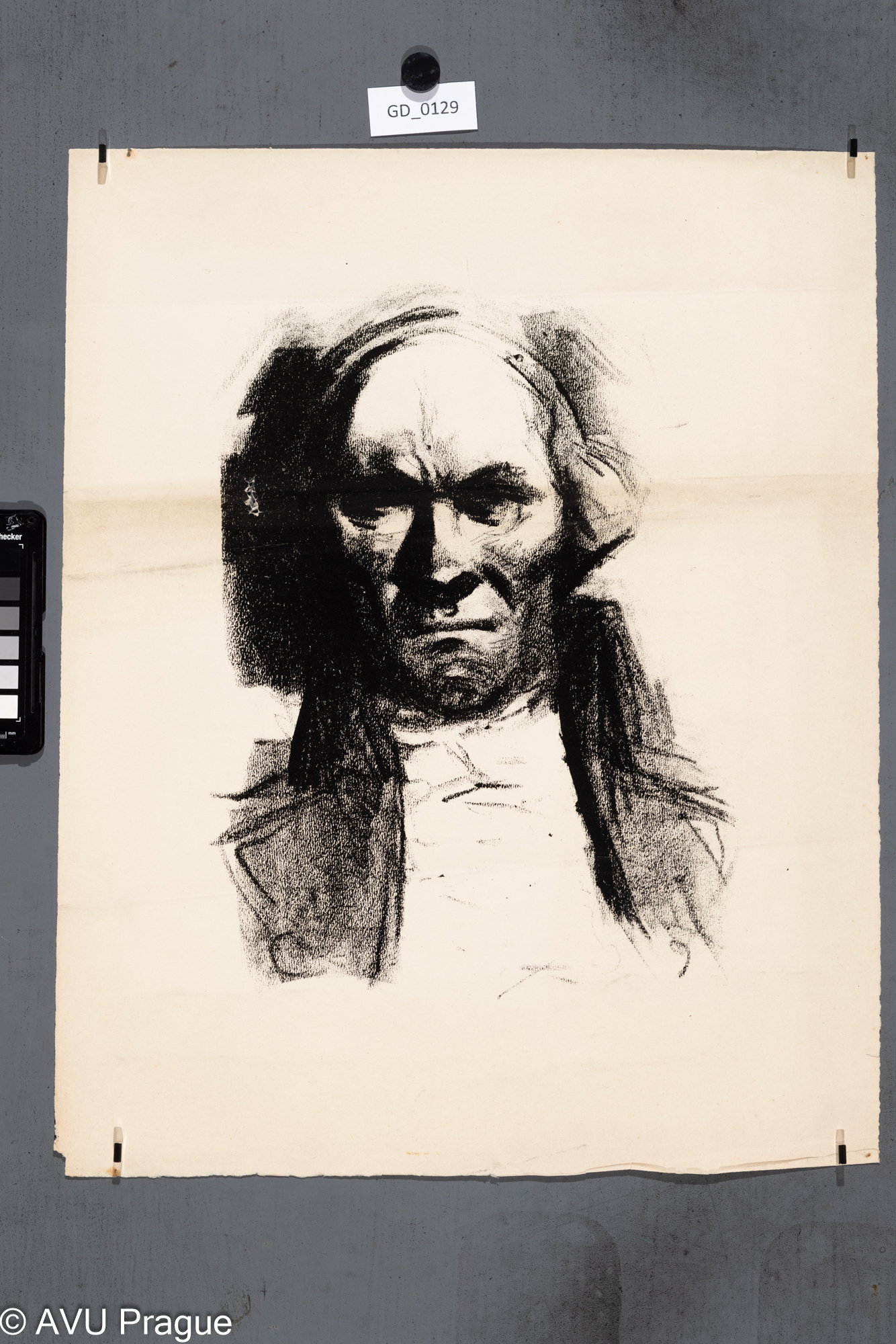 Nezjištěn; Hlava muže s pleší;Litografie; 59,4 x 41,7