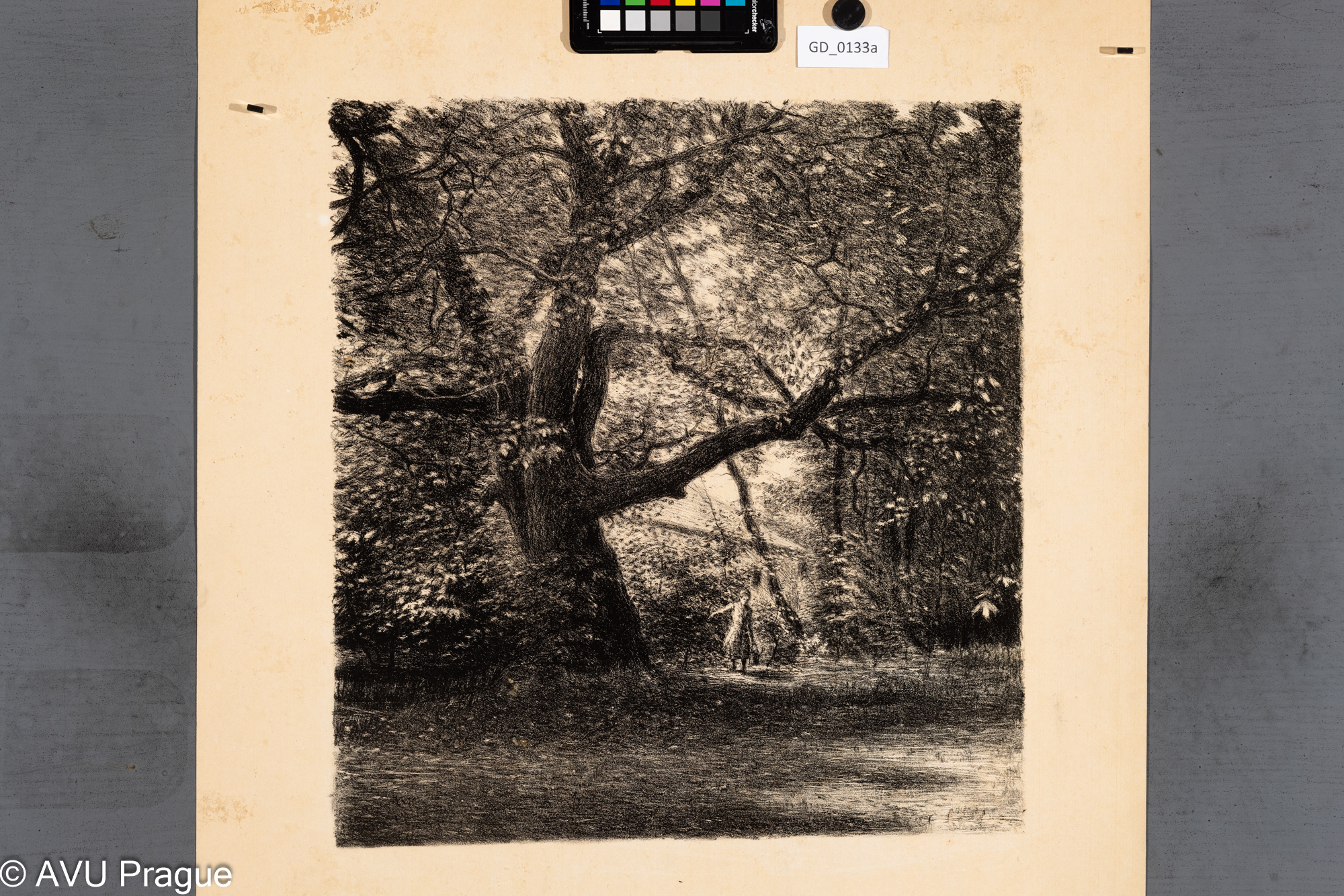 Nezjištěn; Strom a figura v zahradě; Litografie; 44,3 x 41,6; 64,5 x 57,3