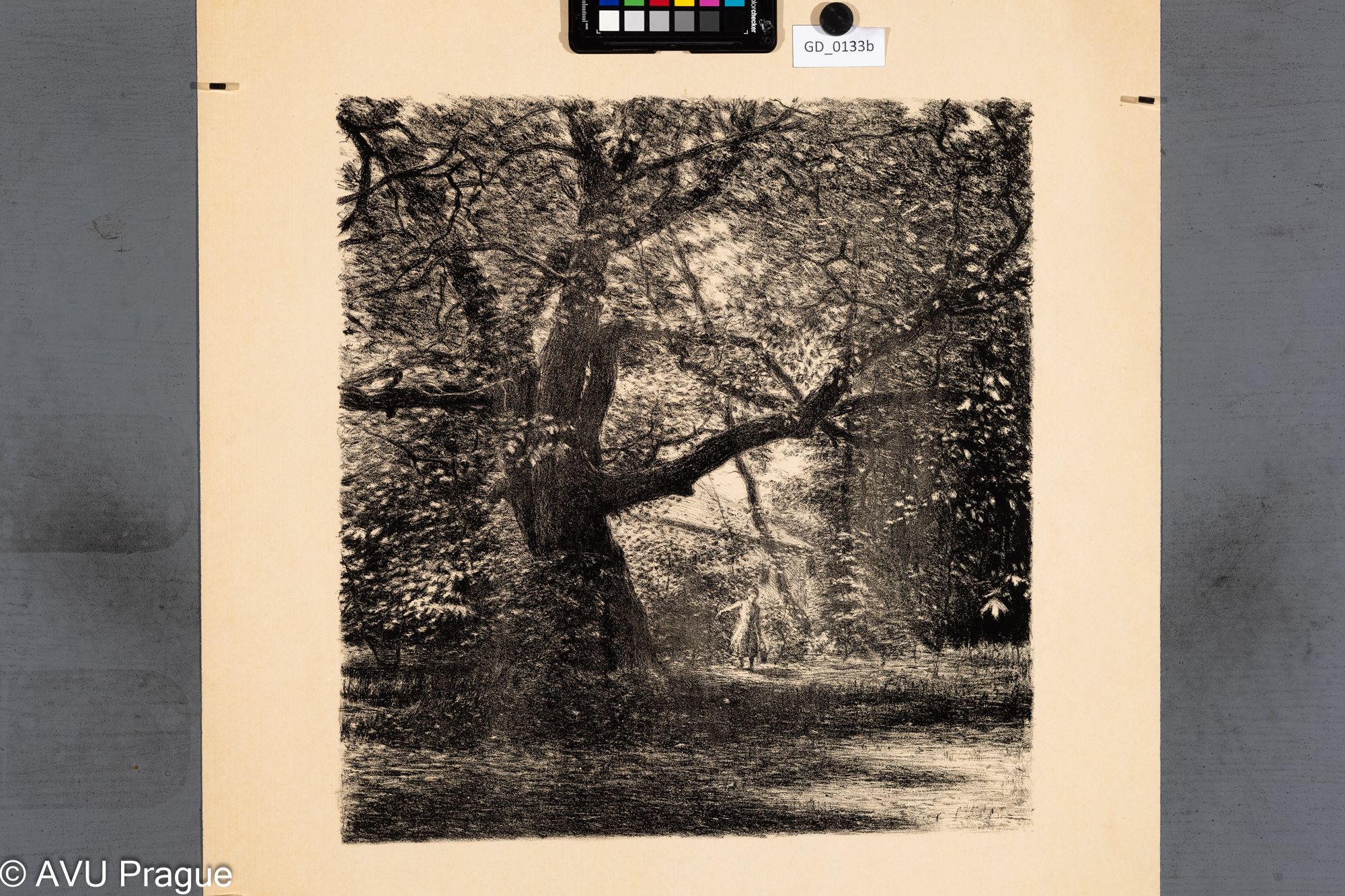 Nezjištěn; Strom a figura v zahradě; Litografie; 44,3 x 41,7;64,5 x 57,4