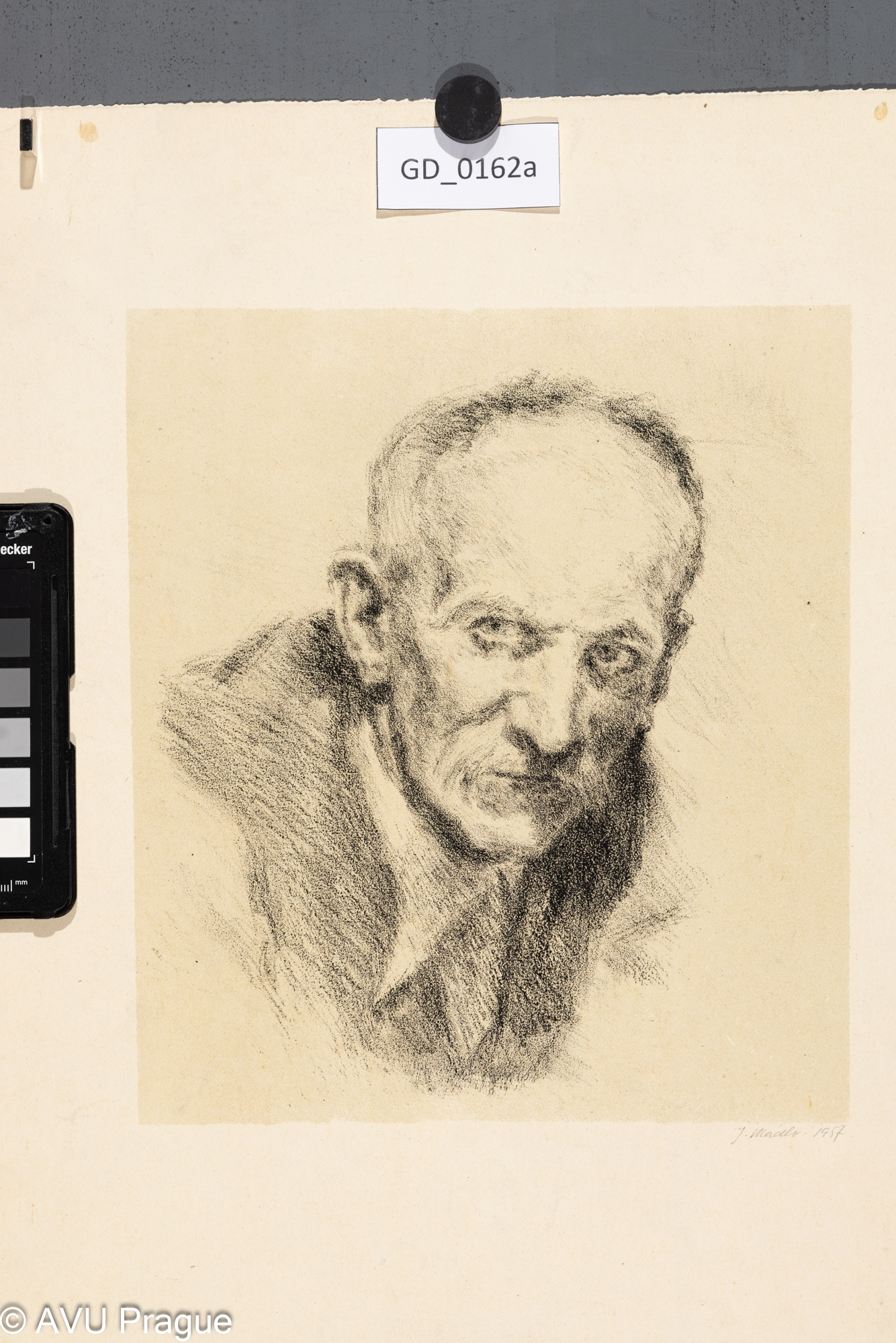 Jiří Mádlo; Portrét muže; 1957;Litografie - podtisk; 24,5 x 21,5;41,5 x 34,5; Silovský