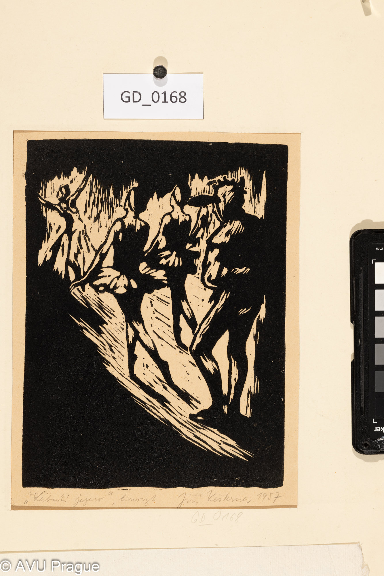 Jiří Veškrna; Labutí jezero; 1957;Linoryt; 13 x 14,5; 42 x 30;Silovský