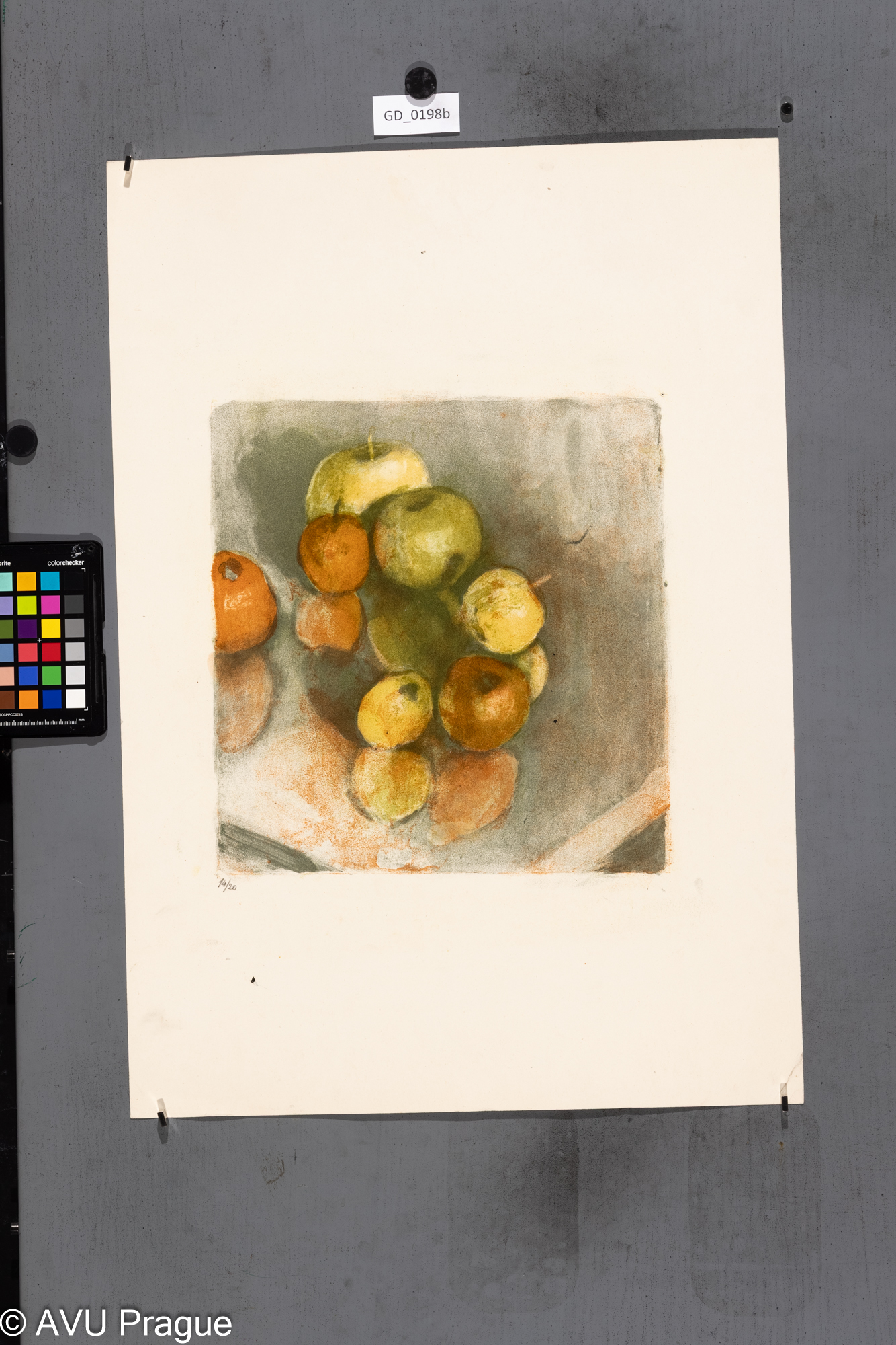 Jiřina Kubínová, Jablka,Barevná litografie - tuž lavírovaná,30 x 29, 61,5 x 42,9, Silovský