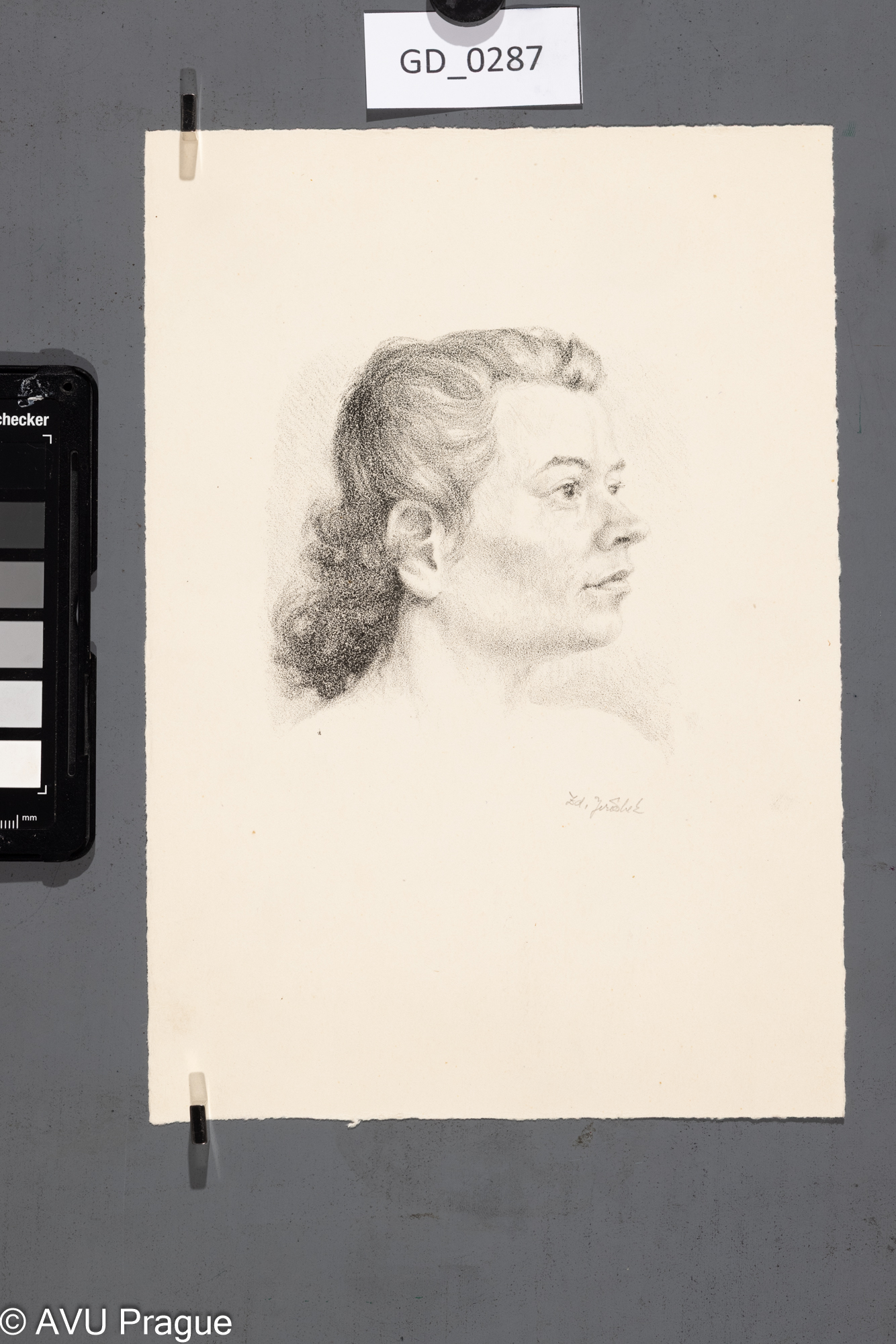 Zdeňek Jeřábek, Hlava ženy,Litografie, 25,1 x 17,4, 25 x 17,5Pukl