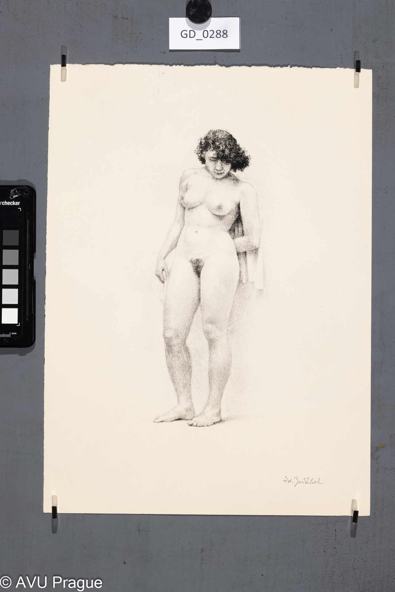 Zdeňek Jeřábek, Stojící nahá modelka, Litografie, 23 x 9,34,5 x 25,2, Pukl