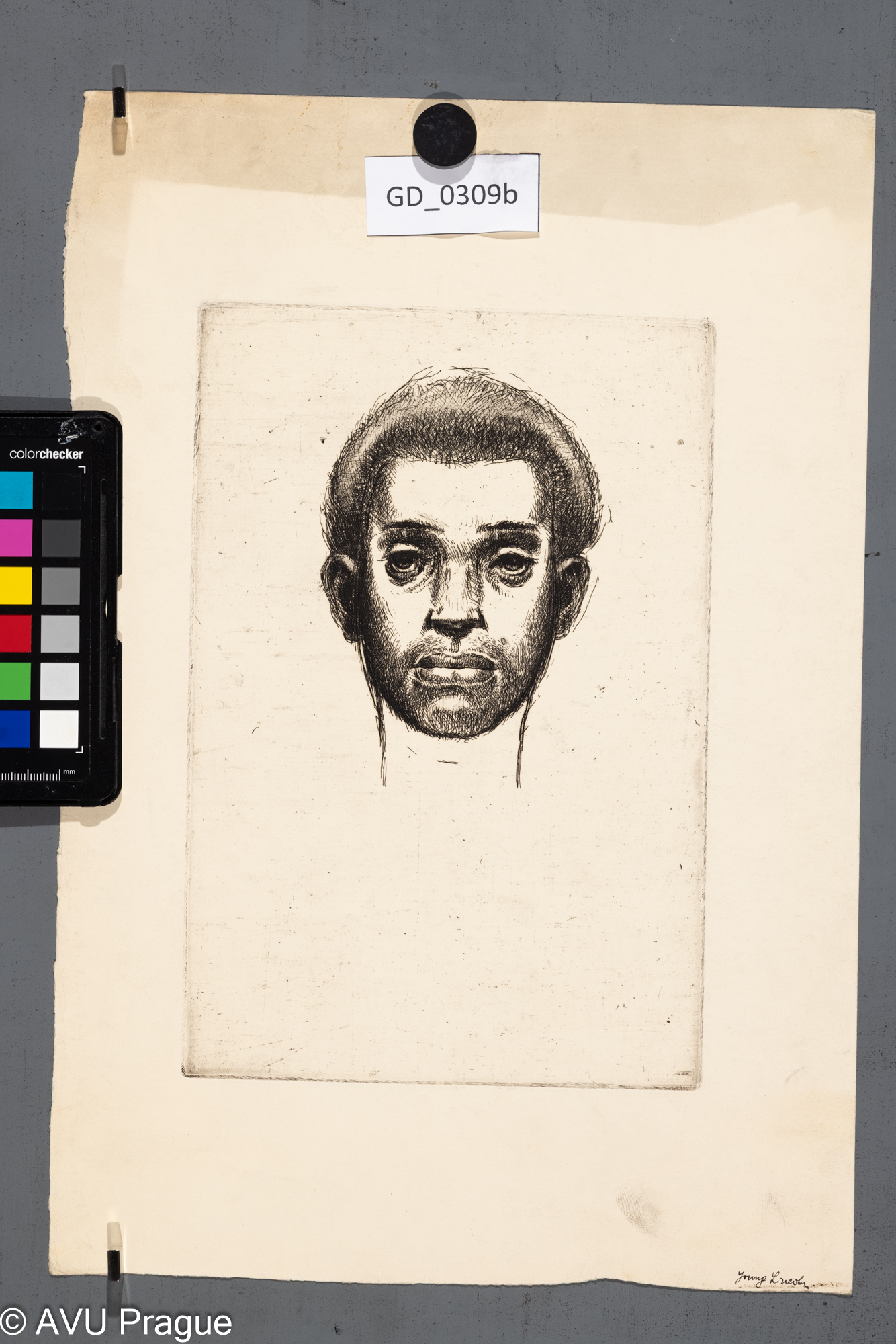 Karel Paták, Portrét muže, 1953,Lept, 24,6 x 16,1, 37,9 x 25,3,Pukl, 2 stav