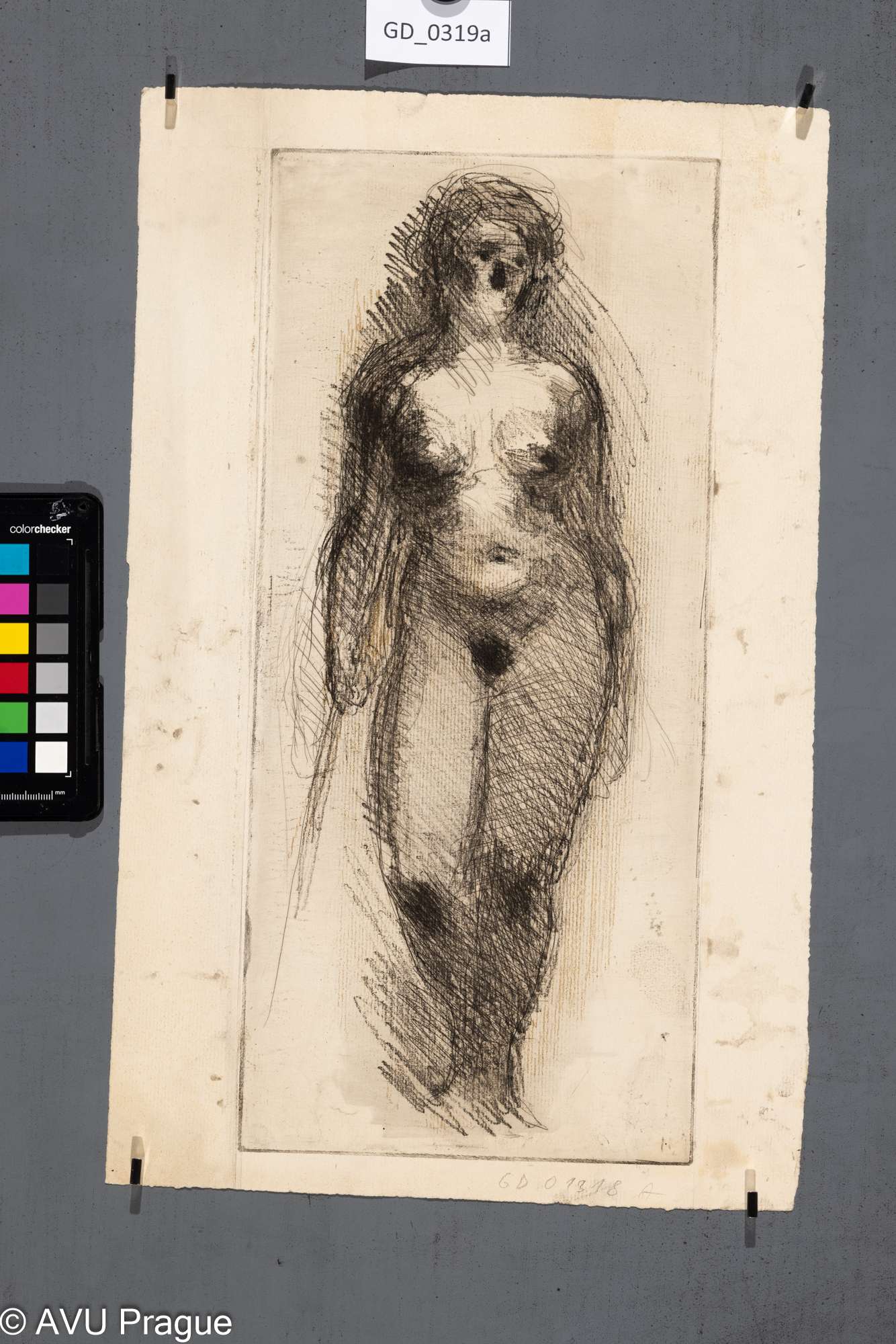 Karel Paták, Velký ženský akt,1954, Kresba, 38,8 x 17,5, 42 x 26,4, Puklrevers