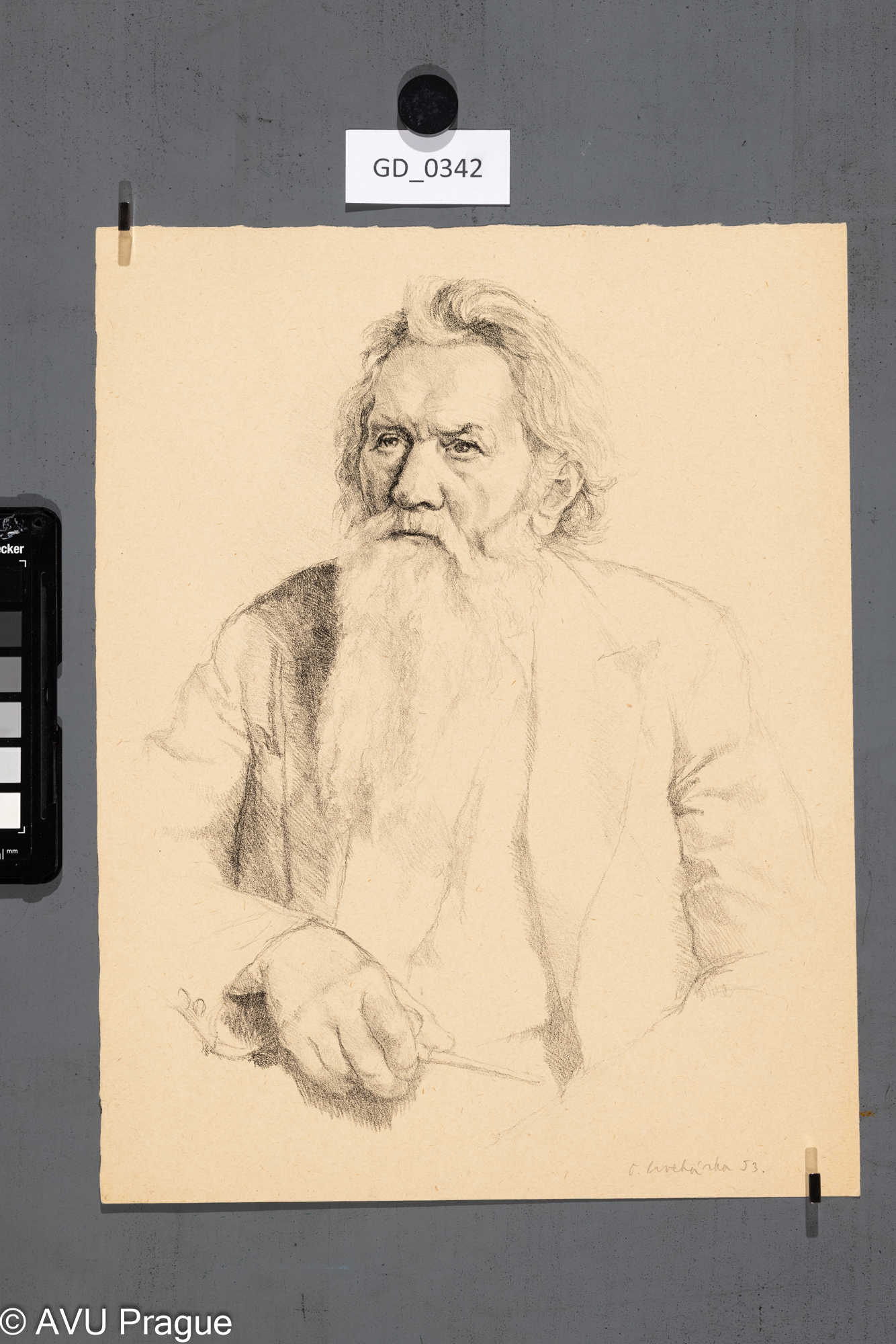 Otakar Procházka, portrét muže s vousy, 1953, Litografie,32,3 x 25,2 , Pukl