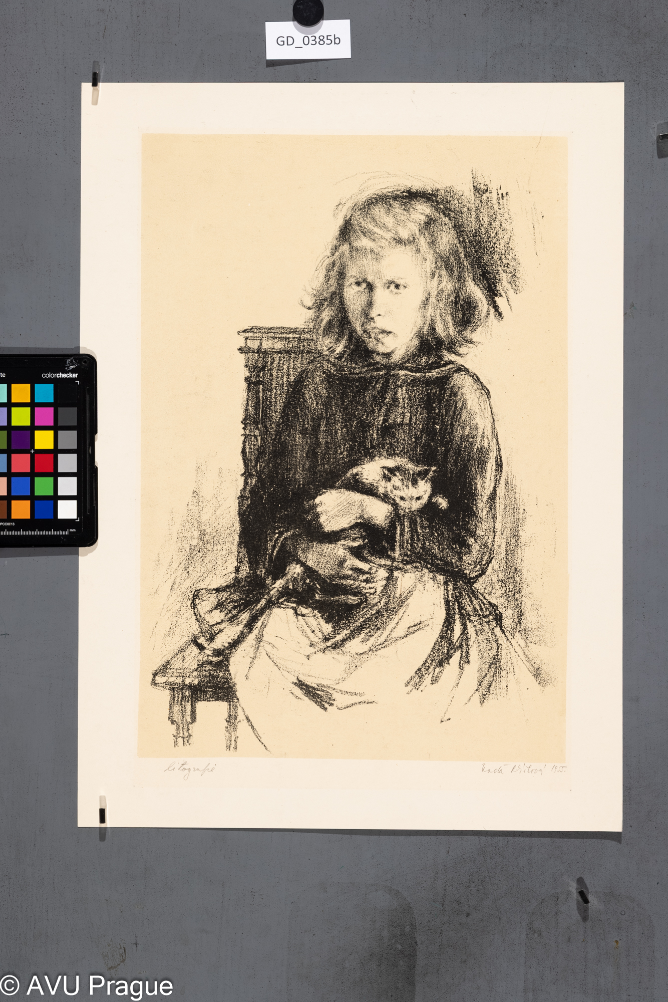 Naděžda Plíšková, Dívka s kočkou, 1955, Litografie - podtisk, 40,4 x 27,7, 48,4 x 35,6Souček