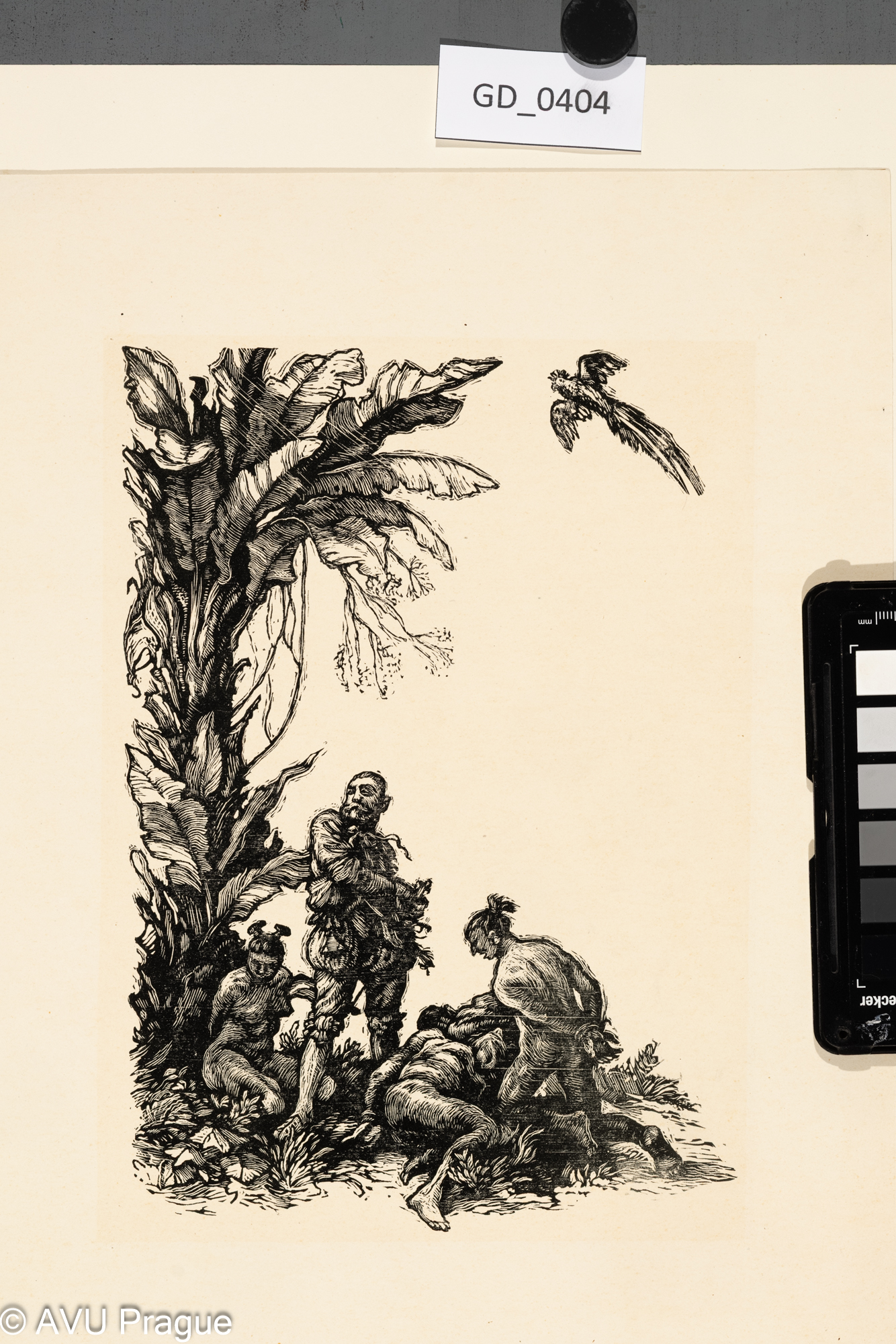 Neurčen, Ilustrace - Titulní list ? (zajatí indiání?), Dřevoryt, 24 x 17,3, 35 x 25,2 Silovský ?