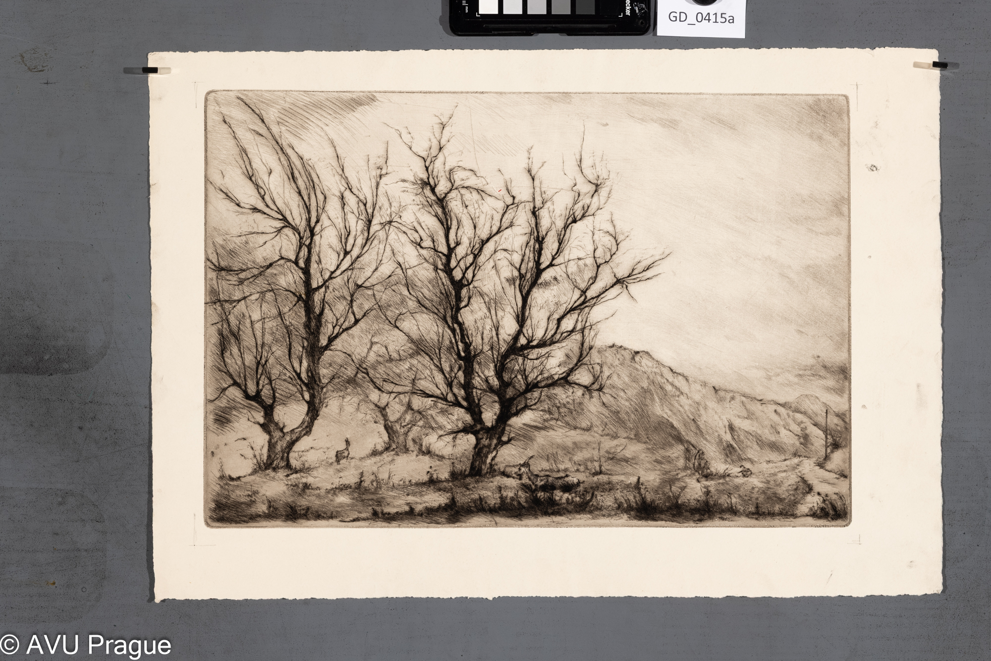 Neurčen, Podzimní krajina s dětmi a kozami, Suchá jehla,27 x 40,2 , 34 x 49