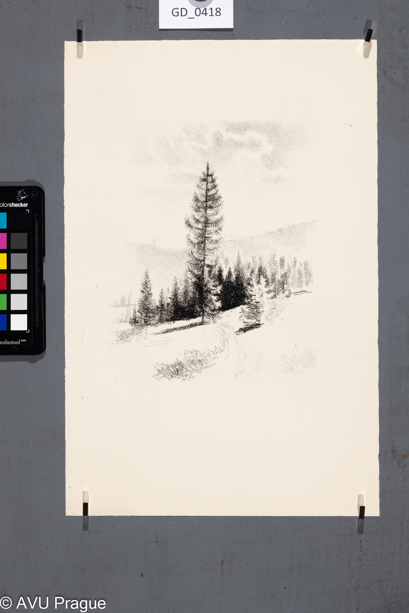 Neurčen, Smrk v krajině,Litografie, 35,4 x 23,2