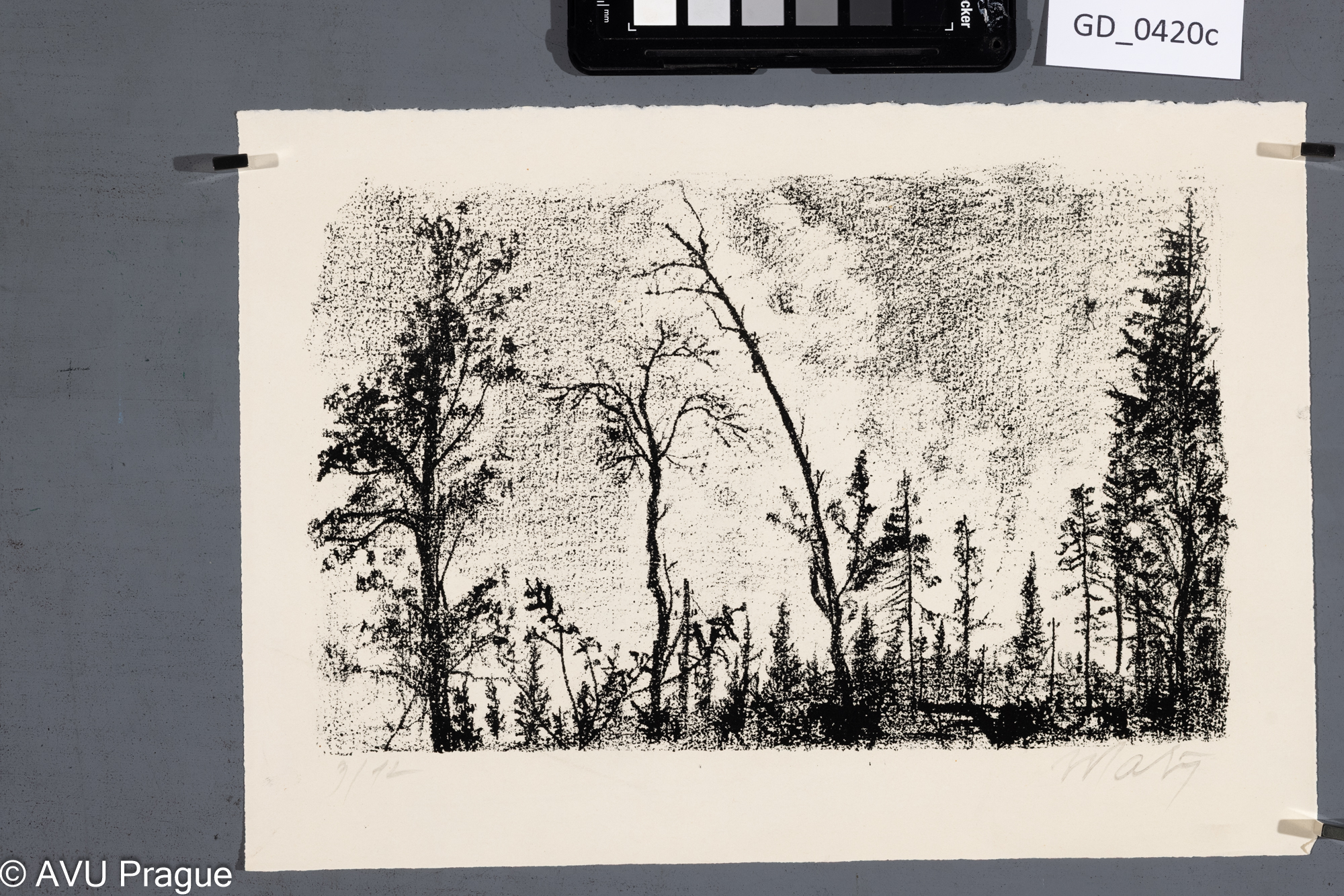 Malý?, Smrky a horizont,Litografie, 16 x 25,8, 21 x 30