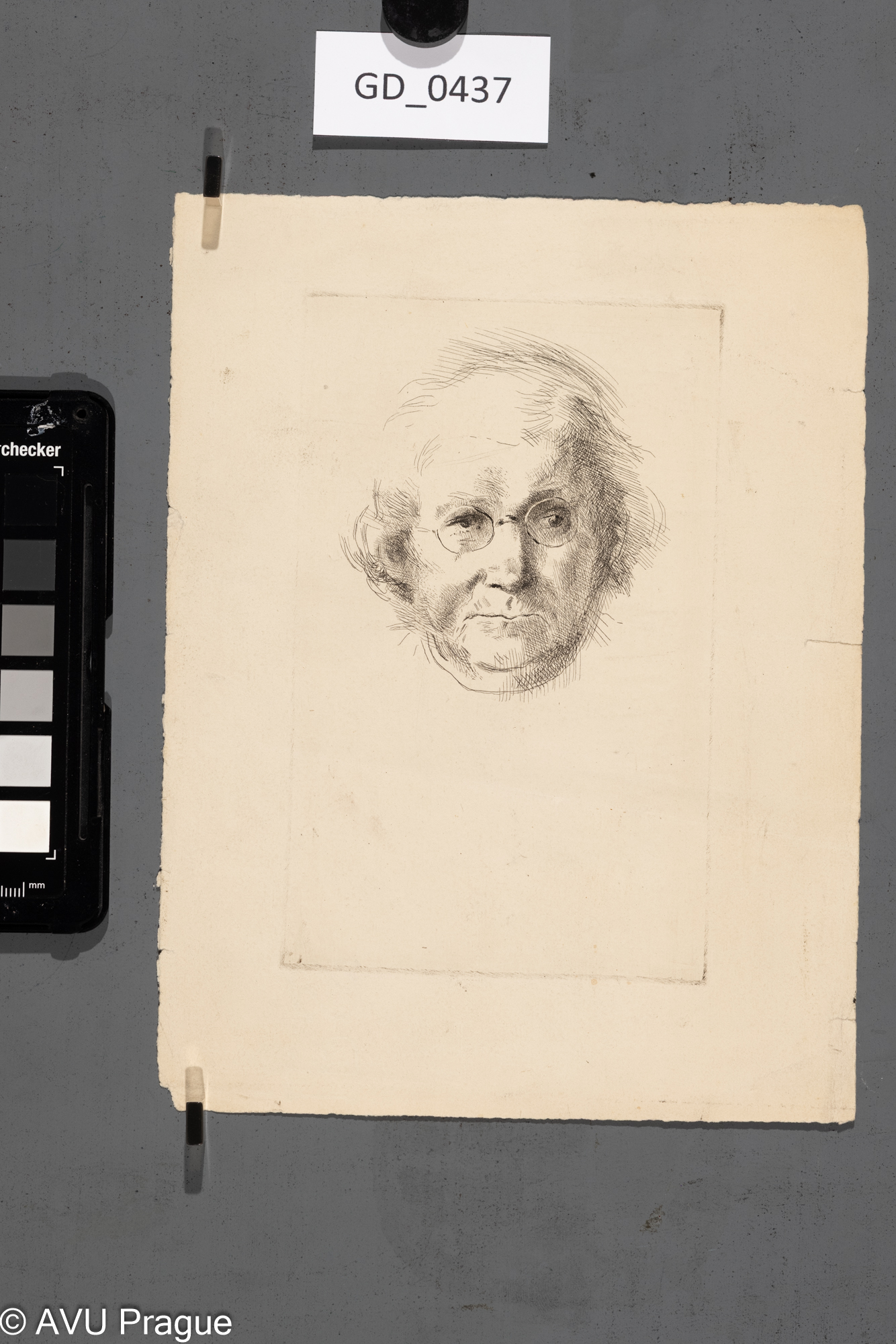 Neurčen, Hlava modelu s brýlemi, Lept, 15,6 x 9,7, 21,3 x 16,1