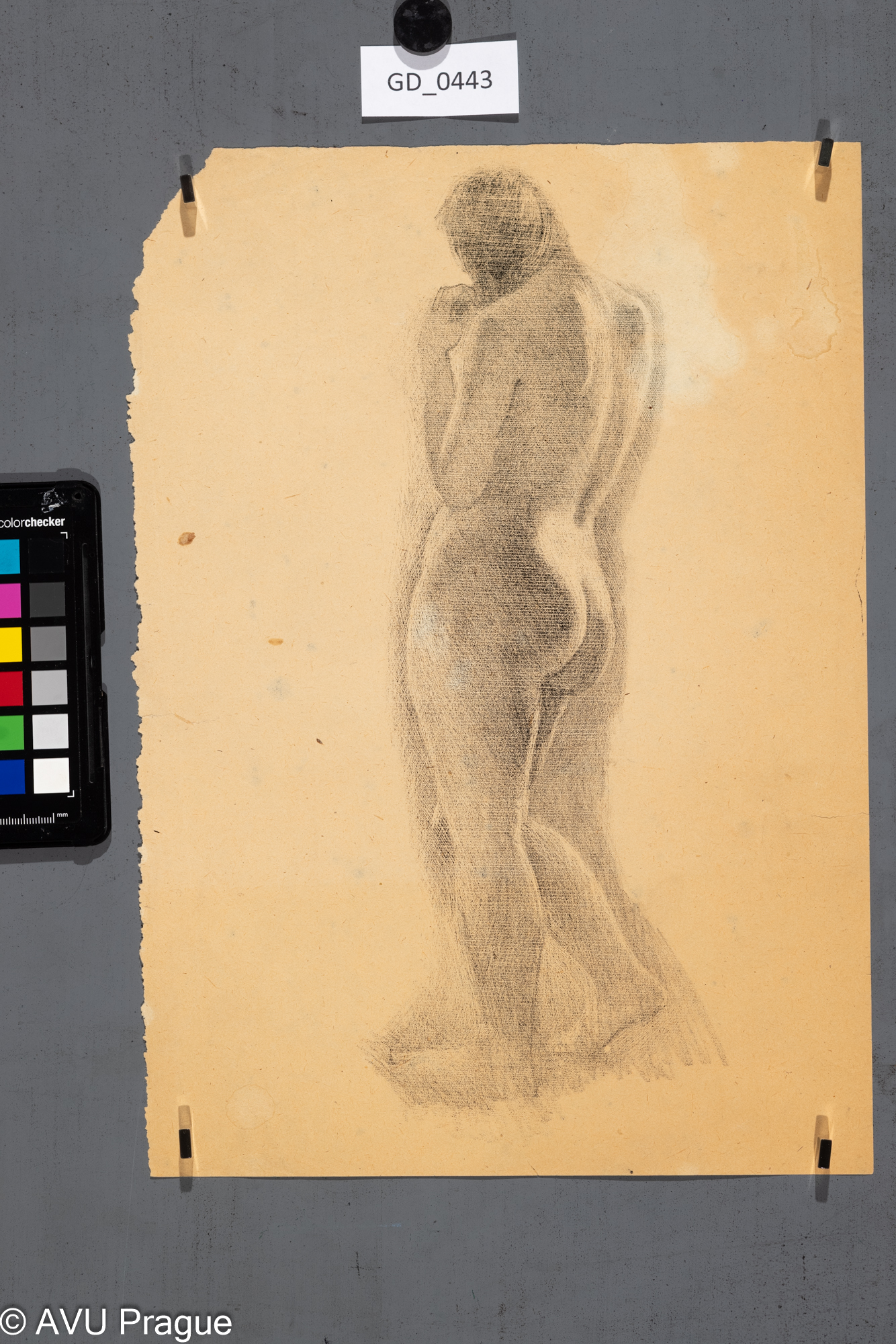 Neurčen, Ženský akt,Litografie - škrábaná, 32 x 8,5,35,5 x 24,8