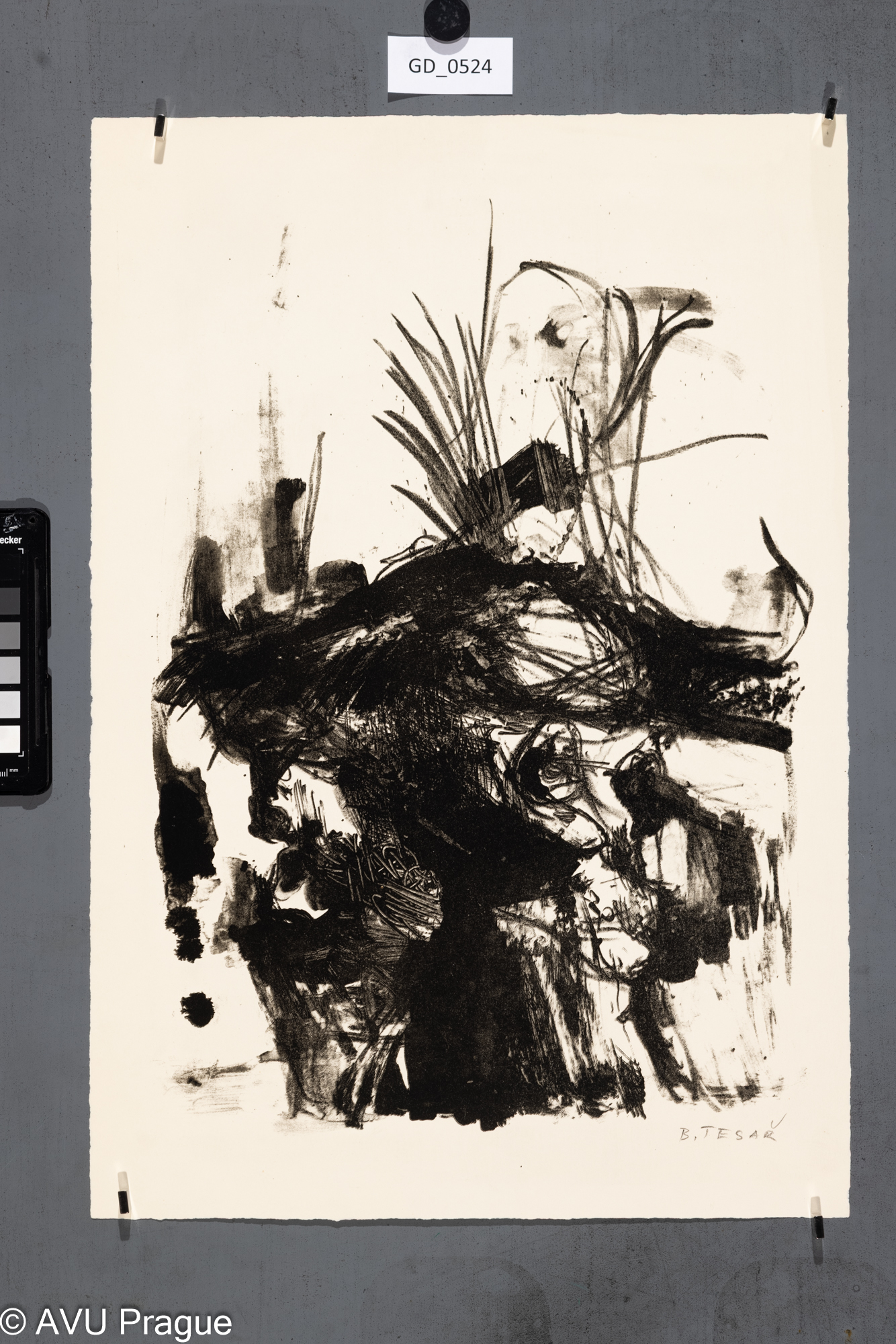 Boris Tesař, Abstrakce,Litogafie, 40,7 x 28,5 , 48,3 x 33,Tittelbach