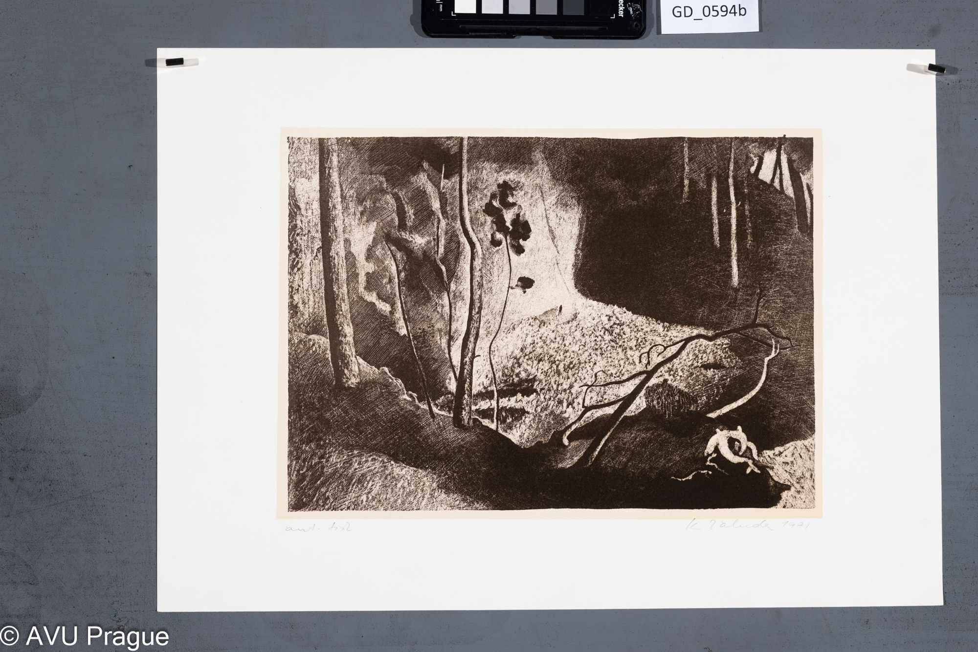 Karel Žaluda, Maxim Gorkij Danko - Ilustrace - dvojice v lese, 1971, Litografie - škrábaná - podtisk, 20,3 x 29,3,31,1 x 43,7,Čepelák