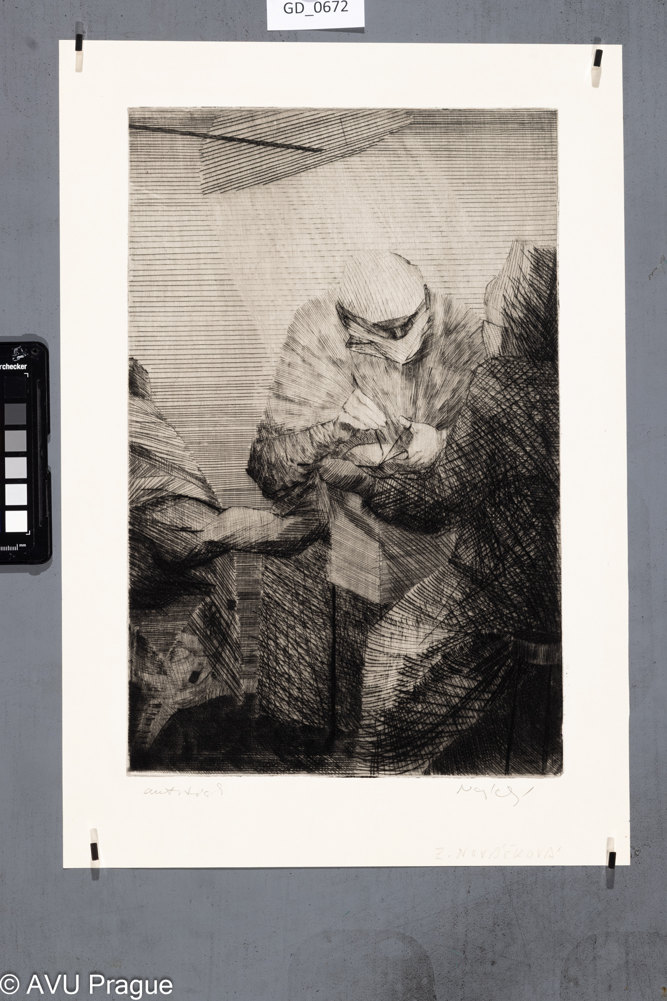 Zuzana Nováčková, Operace IV.,Suchá jehla, 37,5 x 24,6, 46,7 x 32,Čepelák