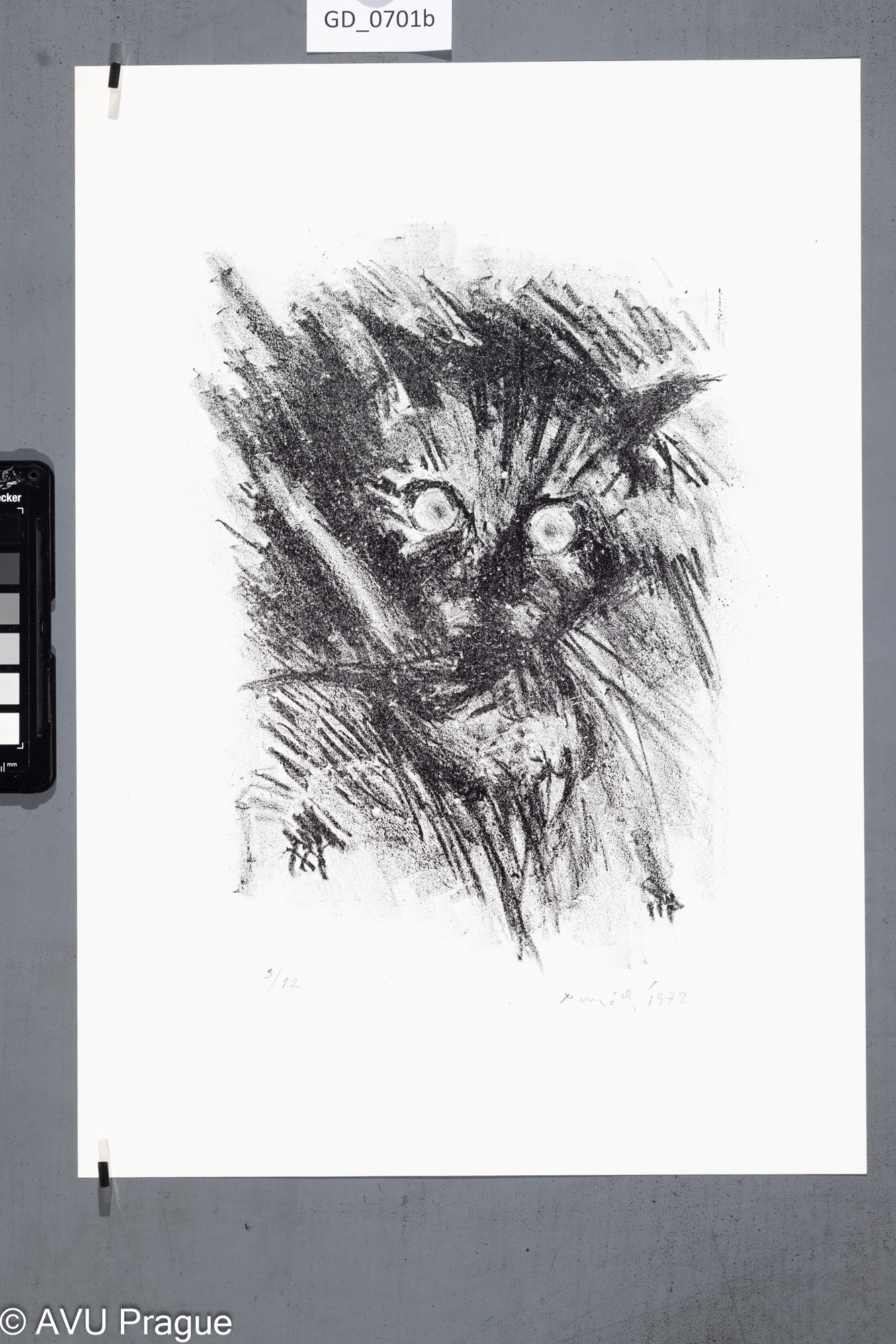 Zuzana Nováčková, Kočka, 1972,Litografie, 27,6 x 21, 42 x 29,6,Čepelák