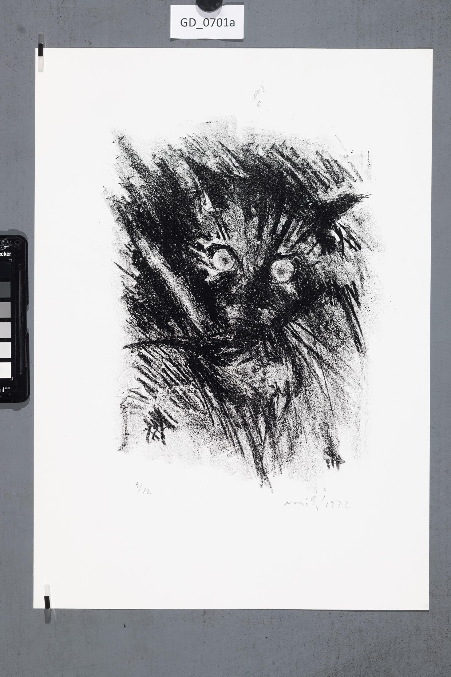 Zuzana Nováčková, Kočka, 1972,Litografie, 27,6 x 21, 42 x 29,6,Čepelák