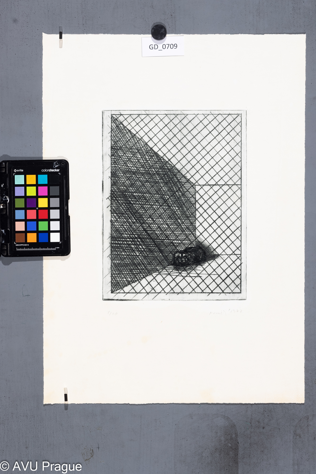 Zuzana Nováčková, Zvíře za plotem, 1972, Suchá jehla, 24,7 x 18,6, 47,6 x 33,7, Čepelák