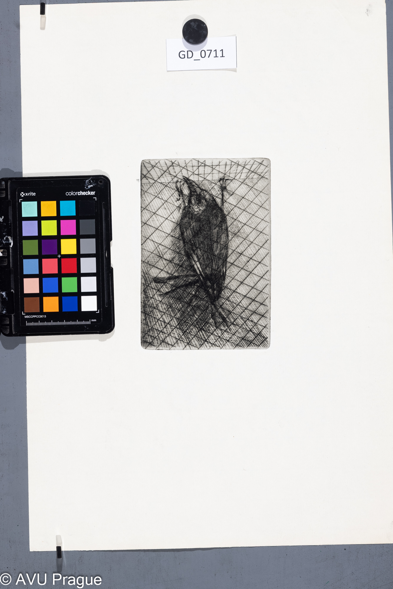 Zuzana Nováčková, Pták za mřížemi,1972?, Suchá jehla, 15 x 10,1, 43,2 x 29,2, Čepelák