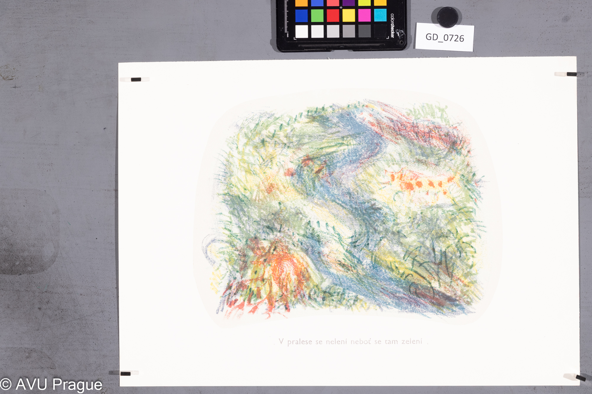 Zuzana Nováčková ?,Důležitý atlas světa - V pralese se nelení ...,Litografie 3 barvy , podtisk,24,6 x 29,5, 31,2 x 44, Čepelák