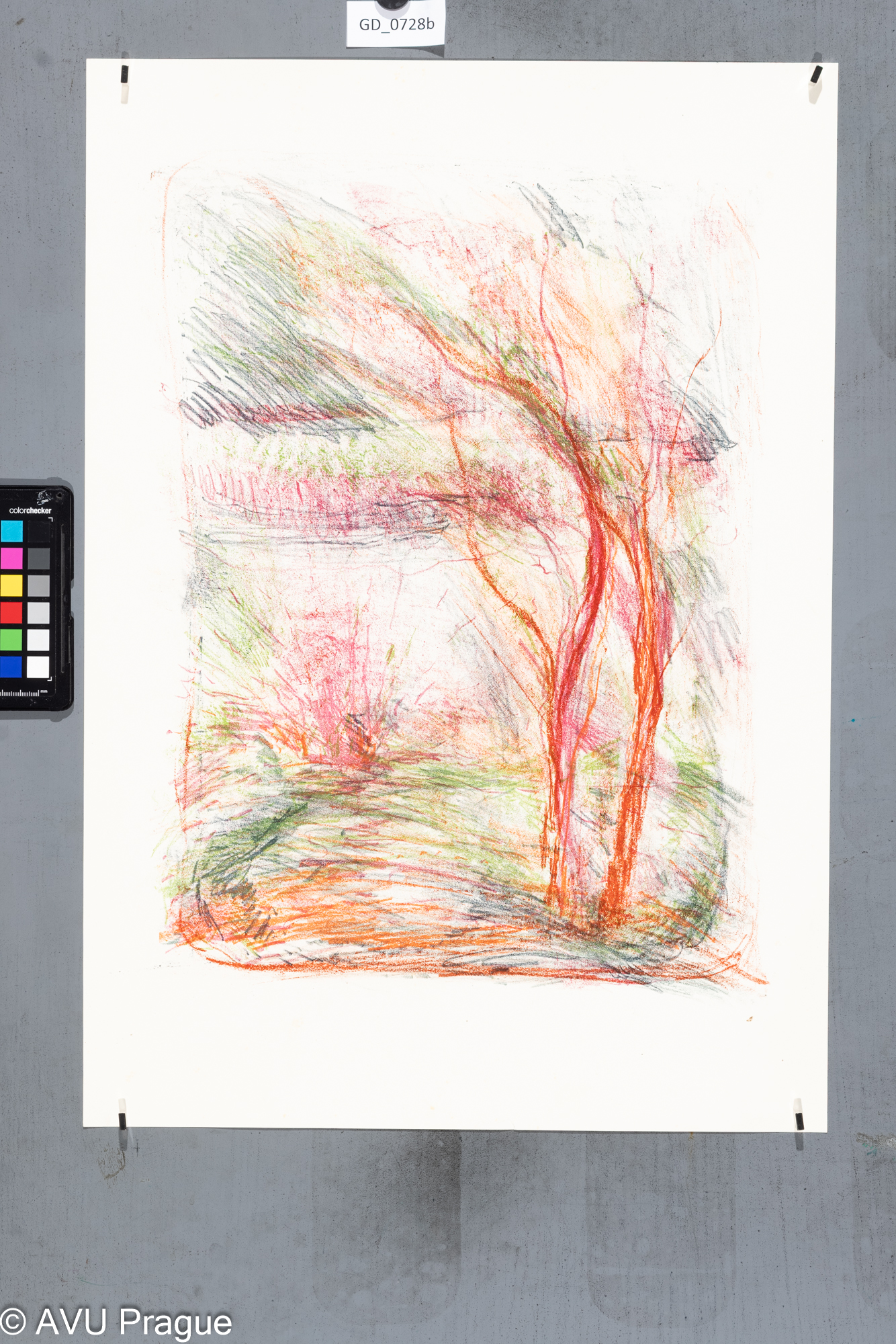 Zuzana Nováčková , Strom,Litografie 3 barvy , 50,4 x 38,5,59,4 x 41,5, Čepelák