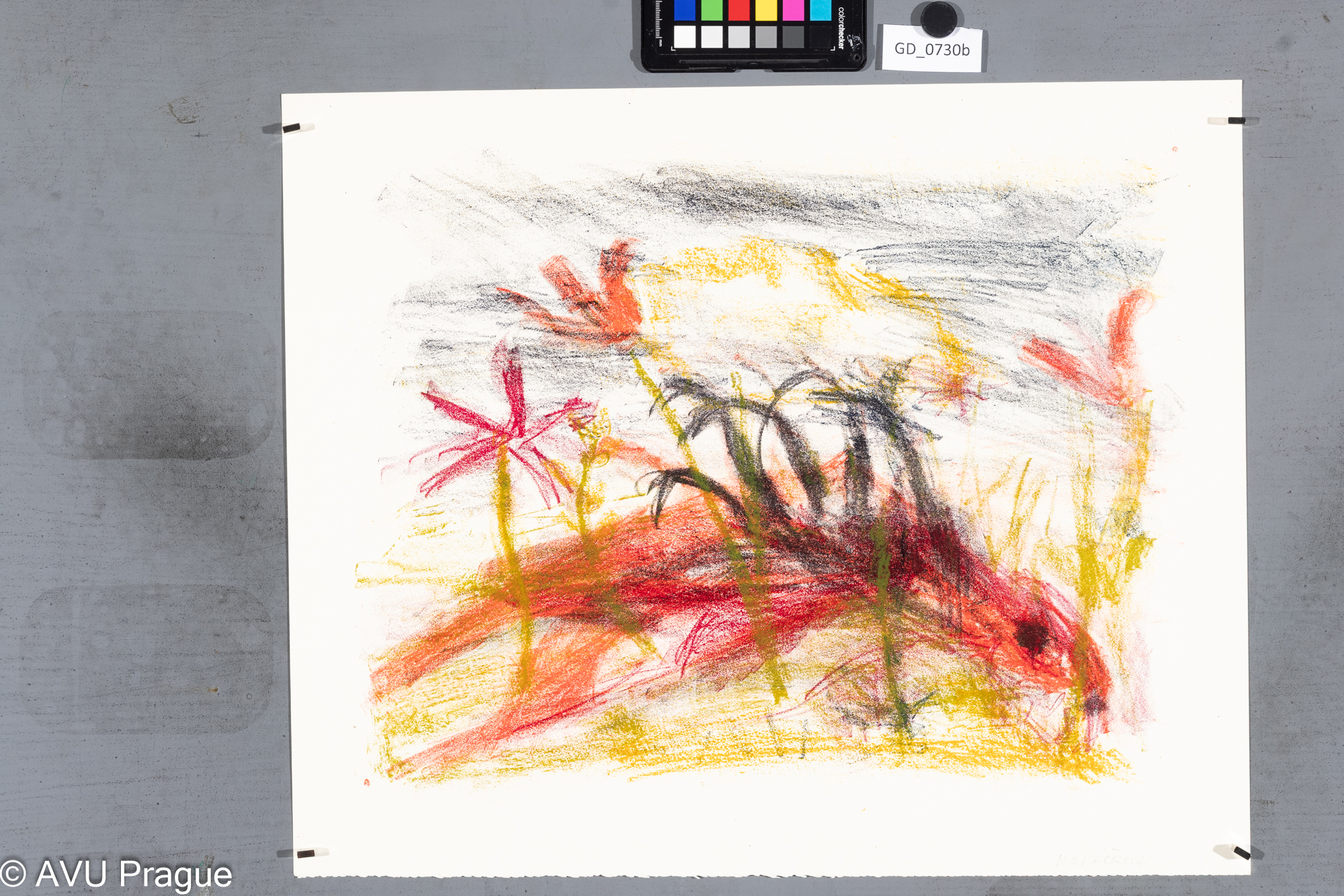 Zuzana Nováčková , Červený drak,Litografie 3 barvy, 36 x 45, 44 x 53,Čepelák