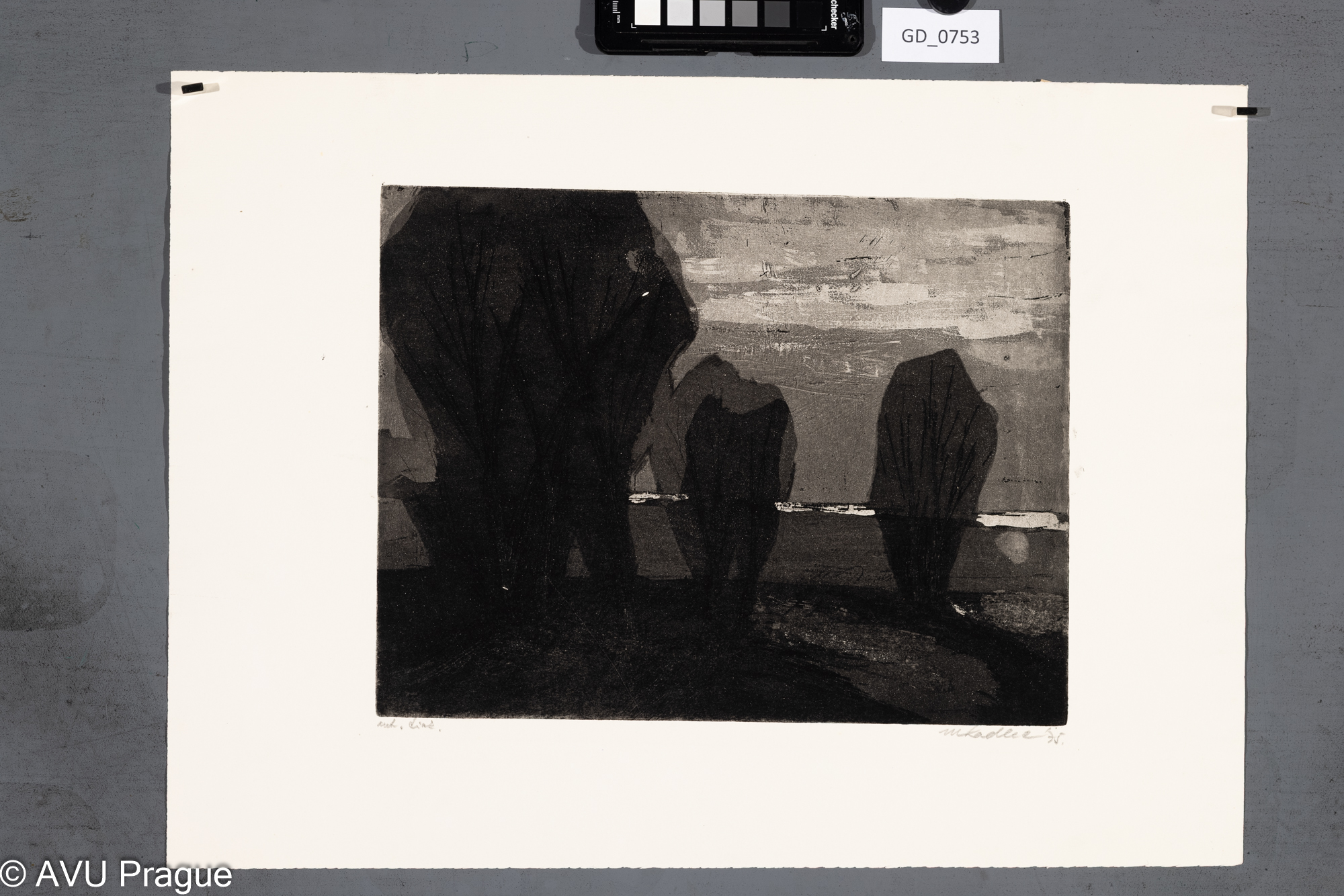 Martin Kadlec, Tři keře v krajině,1975, Akvatinta, 24,5 x 32, 36,8 x 50, Čepelák