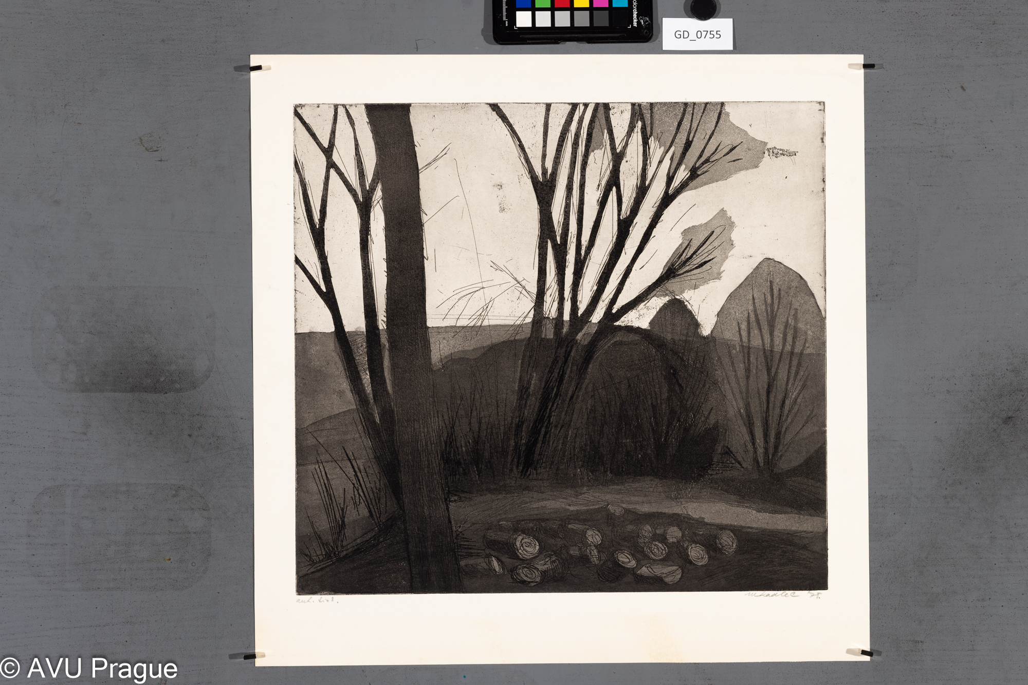 Martin Kadlec, Dva stromy s keři a kameny?, 1975, Lept / akvatinta,38,2 x 41,6, 47,4 x 47,9, Čepelák