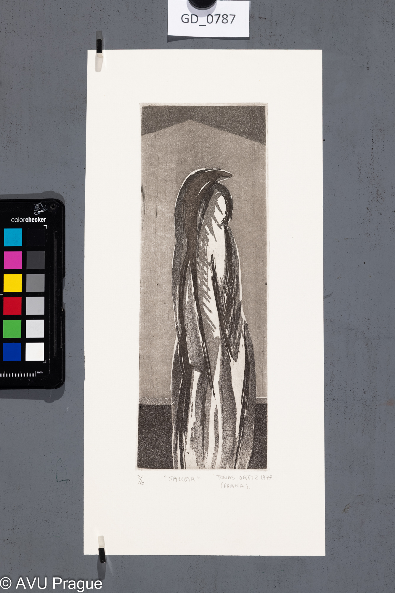 Tomas Ortiz, Samota, 1977, Akvatinta, 24 x 8,6, 33,4 x 15,3,
Čepelák (zahraniční stážista)