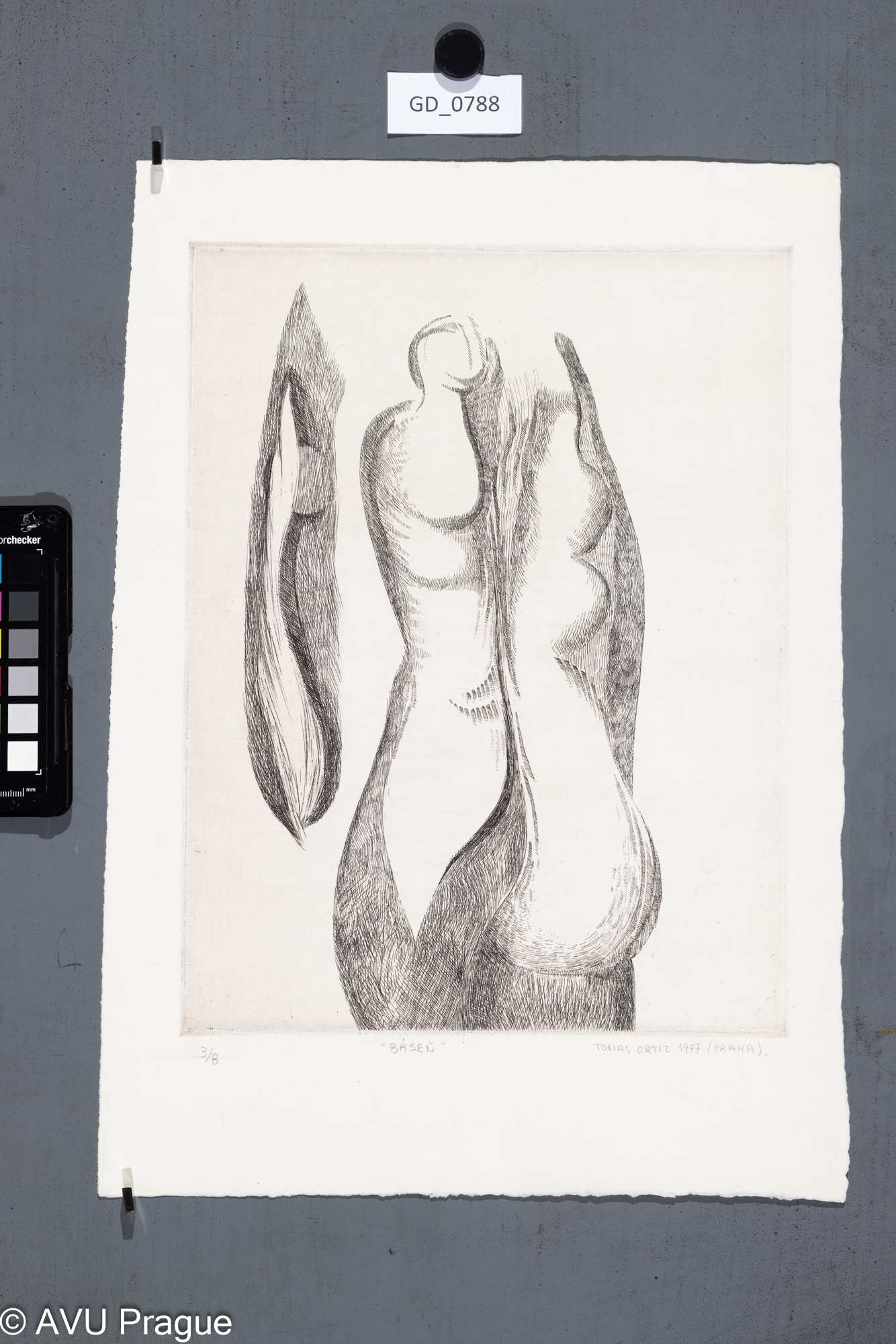 Tomas Ortiz, Báseň, 1977, Lept, 32,1 x 24,2, 41,8 x 29,6, 
Čepelák (zahraniční stážista)