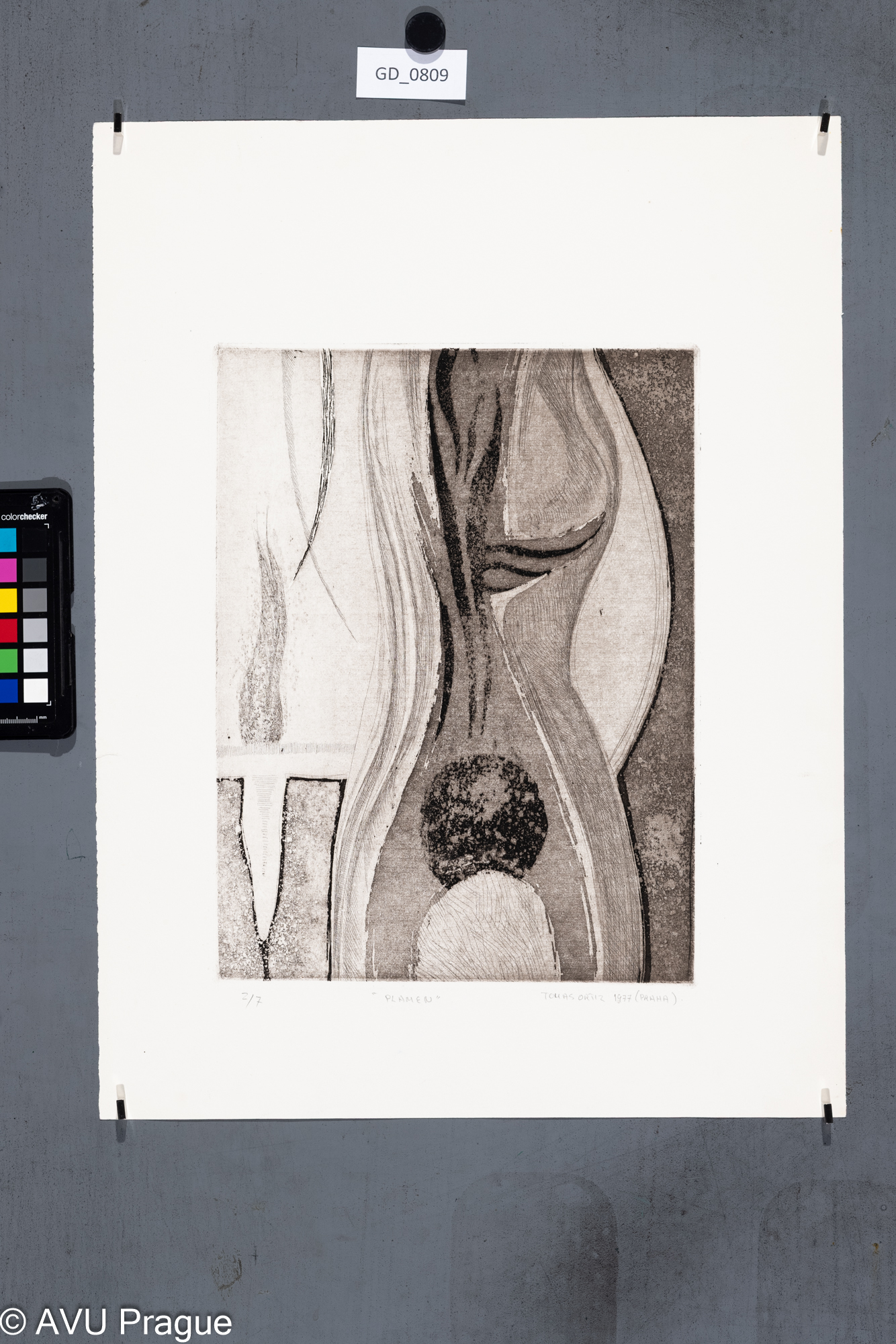 Tomas Ortiz, Plamen, 1977, Lept / akvatinta, 31,4 x 23,8, 50 x 37,4,
Čepelák (zahraniční stážista)