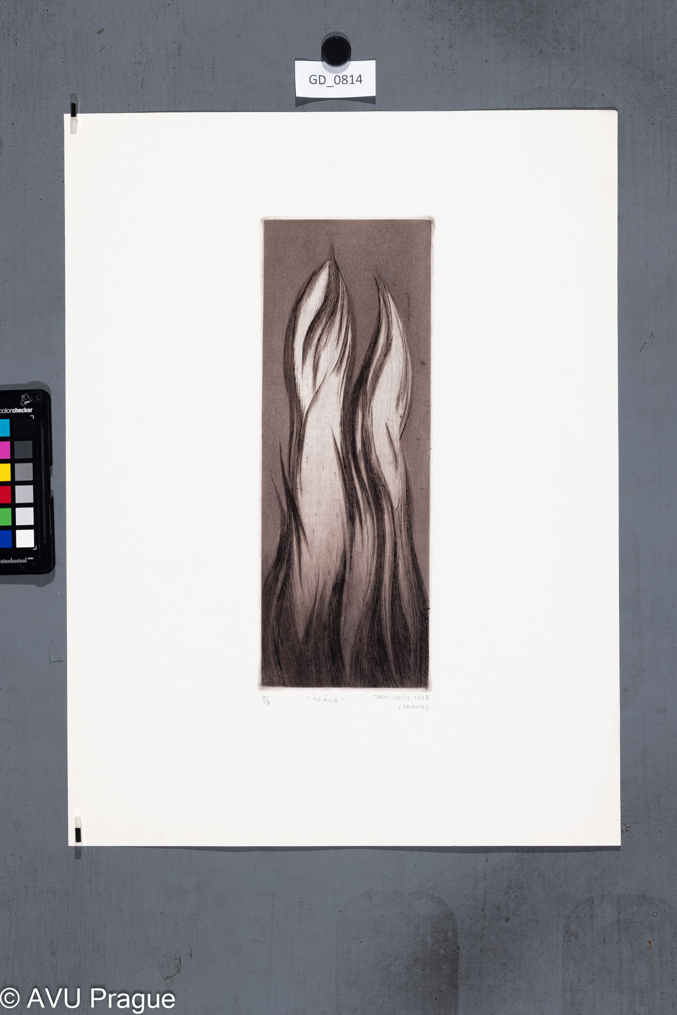 Tomas Ortiz, Sláva, 1977, Suchá jehla, 32,3 x 11,7, 49,2 x 37,3, 
Čepelák (zahraniční stážista)