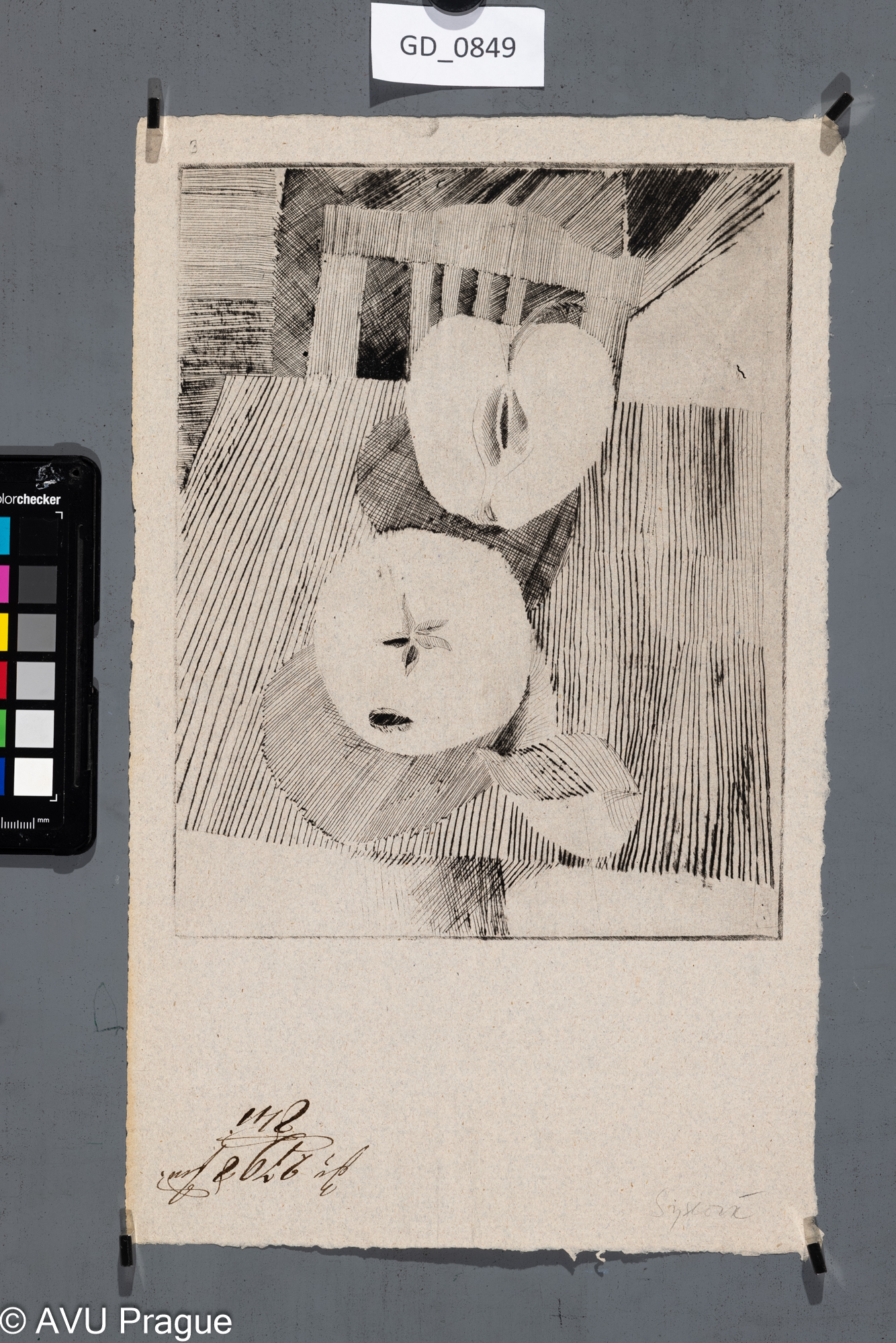 Marie Syslová, Rozkrojené jablko,70. léta, Suchá jehla, 24,3 x 19,35,5 x 21,7, Ondráček