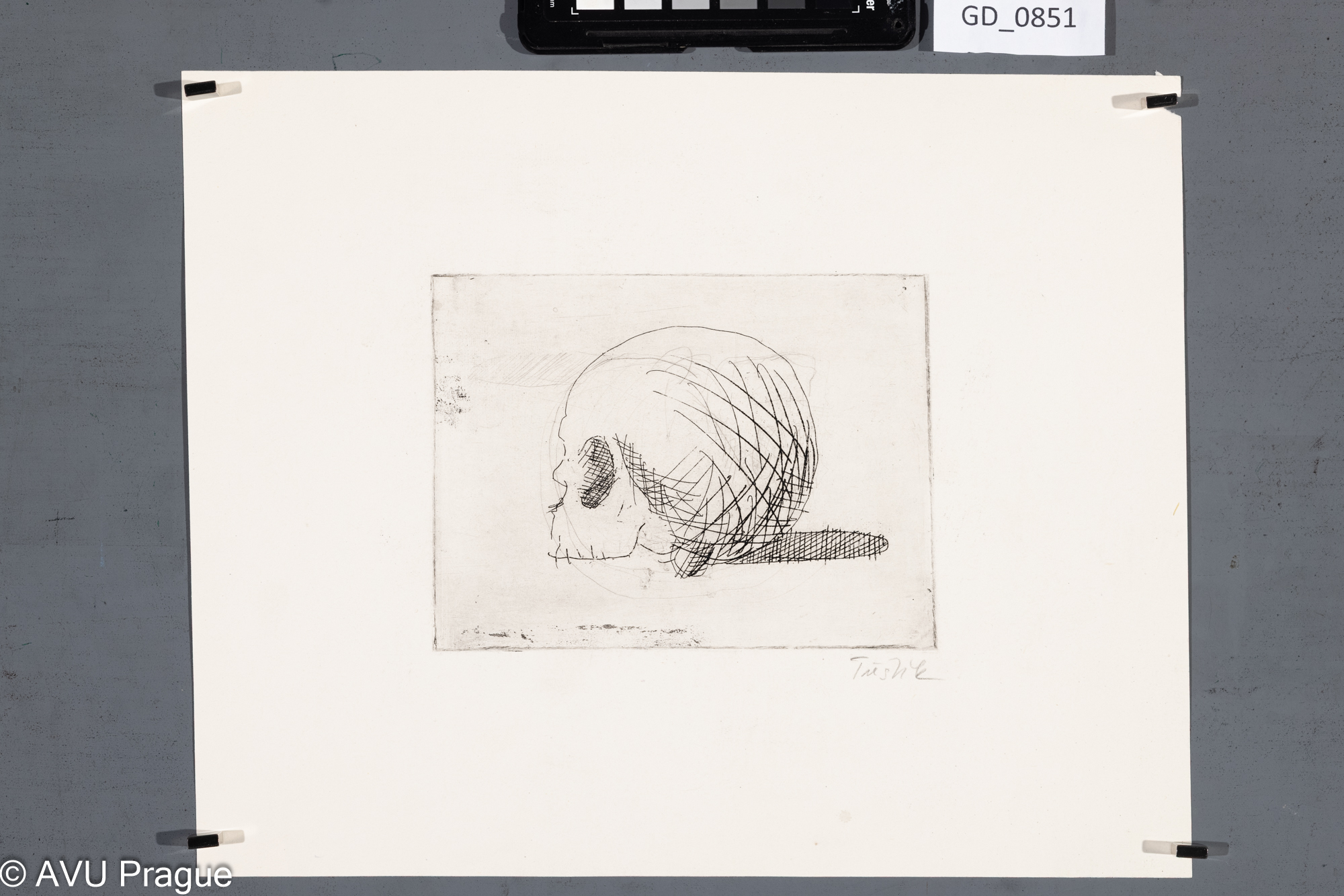 Jiří Třeštík, Lebka, 70. léta, Lept, 11,7 x 15,7, 25,3 x 31,4,Ondráček