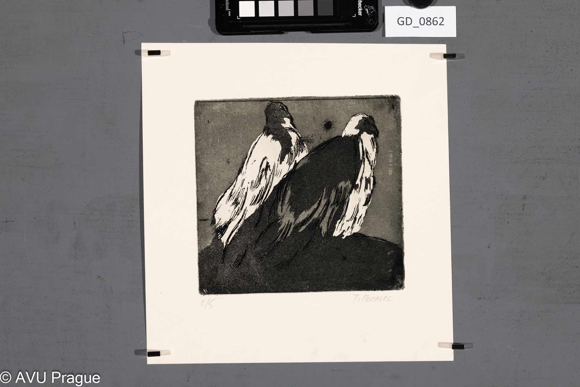 Tomáš Moravec, Abstrakce - draví ptáci, Lept / akvatinta, 14,8 x 15,4, 24,4 x 23,5,Ondráček
