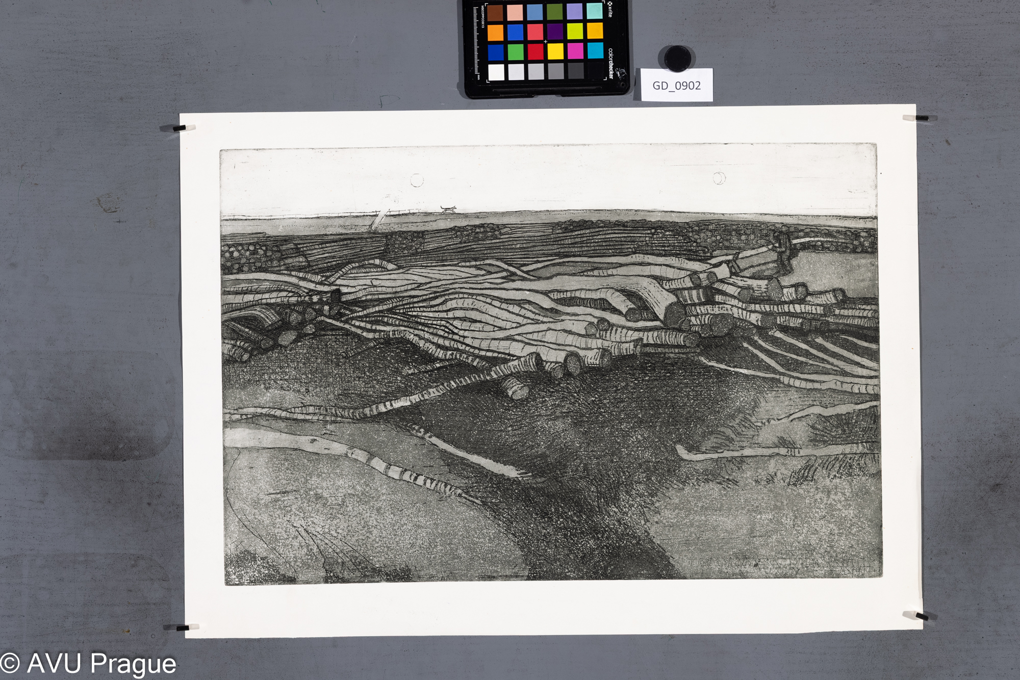 nezjištěno, Klády na poli - kočka a měsíc, Lept / akvatinta, 33 x 49,2, 39,7 x 55,7