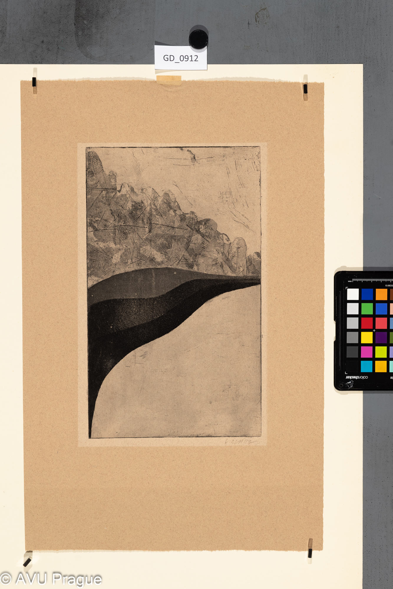 Václav Bláha, Lusk, Měkký kryt / akvatinta, 30,2 x 18 , 49 x 31,1, Paderlík