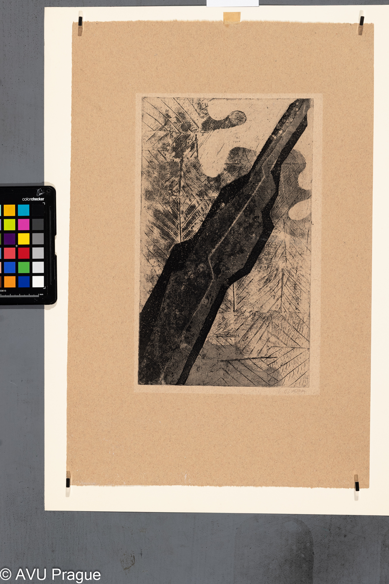 Václav Bláha, List , Měkký kryt / akvatinta, 30,3 x 18, 48,9 x 31,3,Paderlík