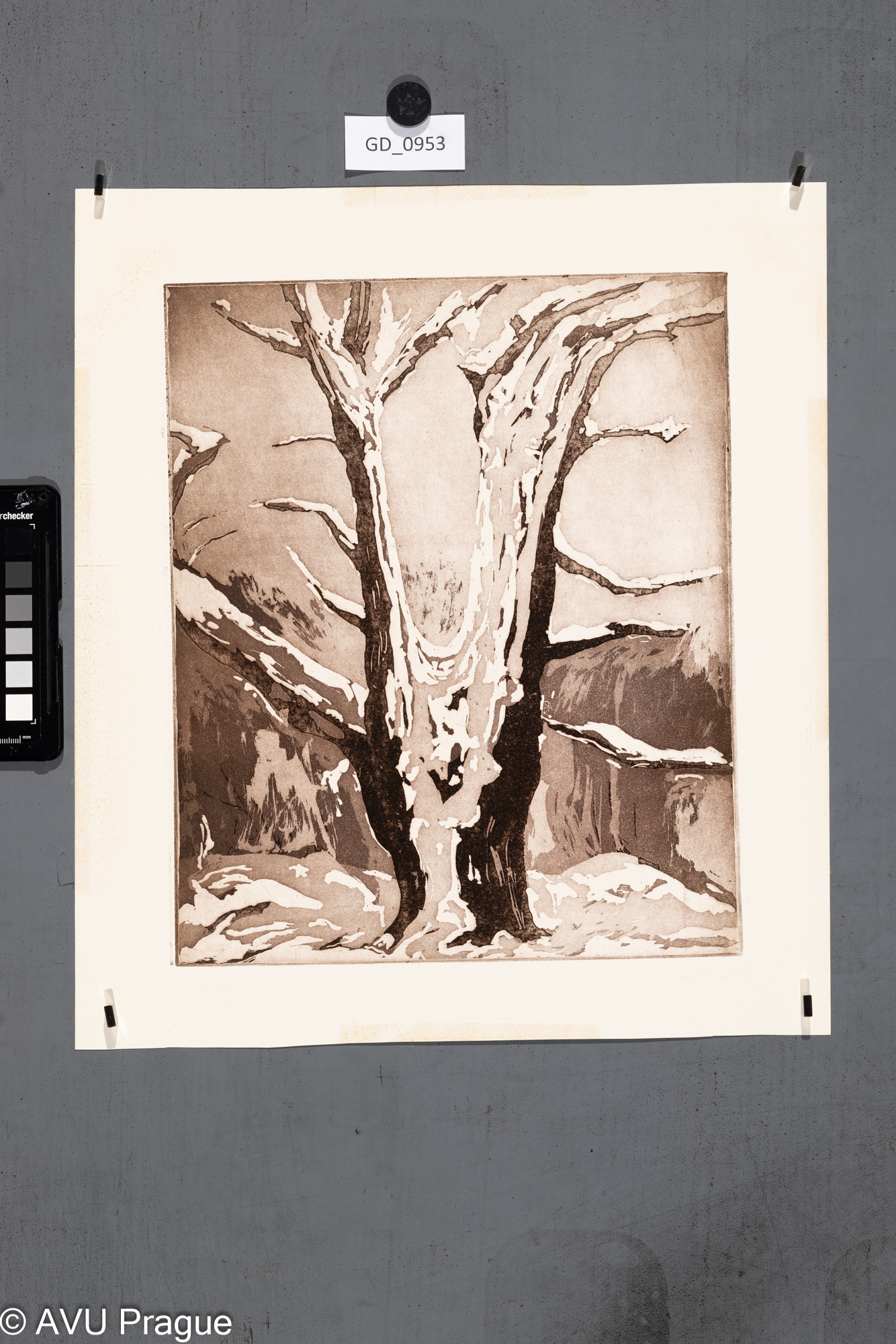 nezjištěno, Strom,Akvatinta, 31 x 29,7, 38,7 x 34,3