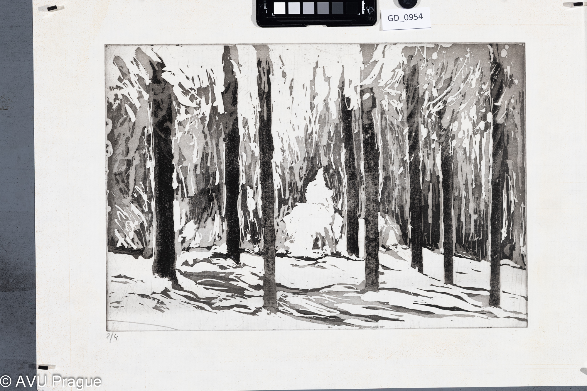 nezjištěno, Les, Akvatinta, 29,8 x 43,6, 43,6 x 58