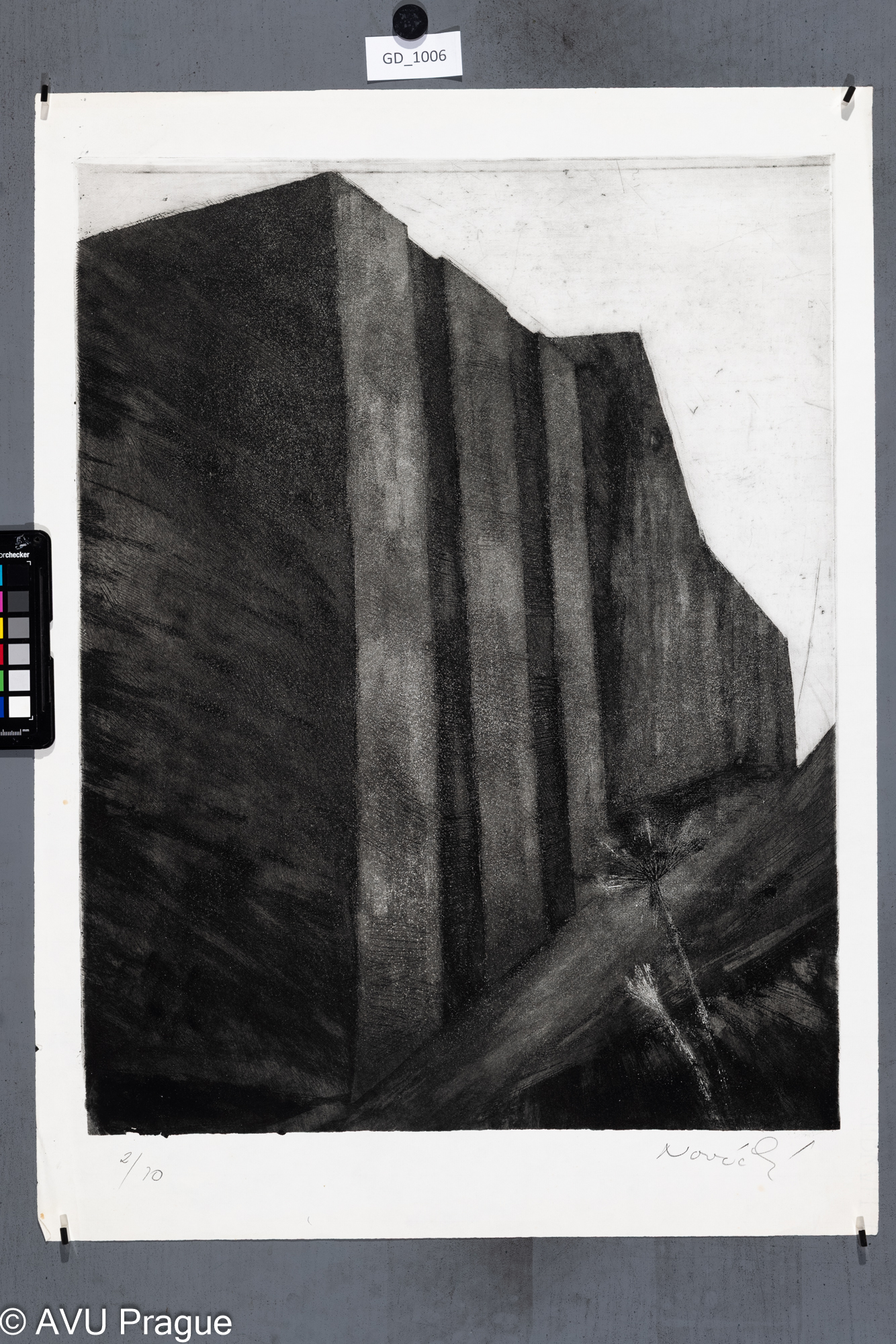 Zuzana Nováčková, Architektura s pampeliškou, Lept / akvatinta,    56 x 43,2, 65,7 x 48, Čepelák