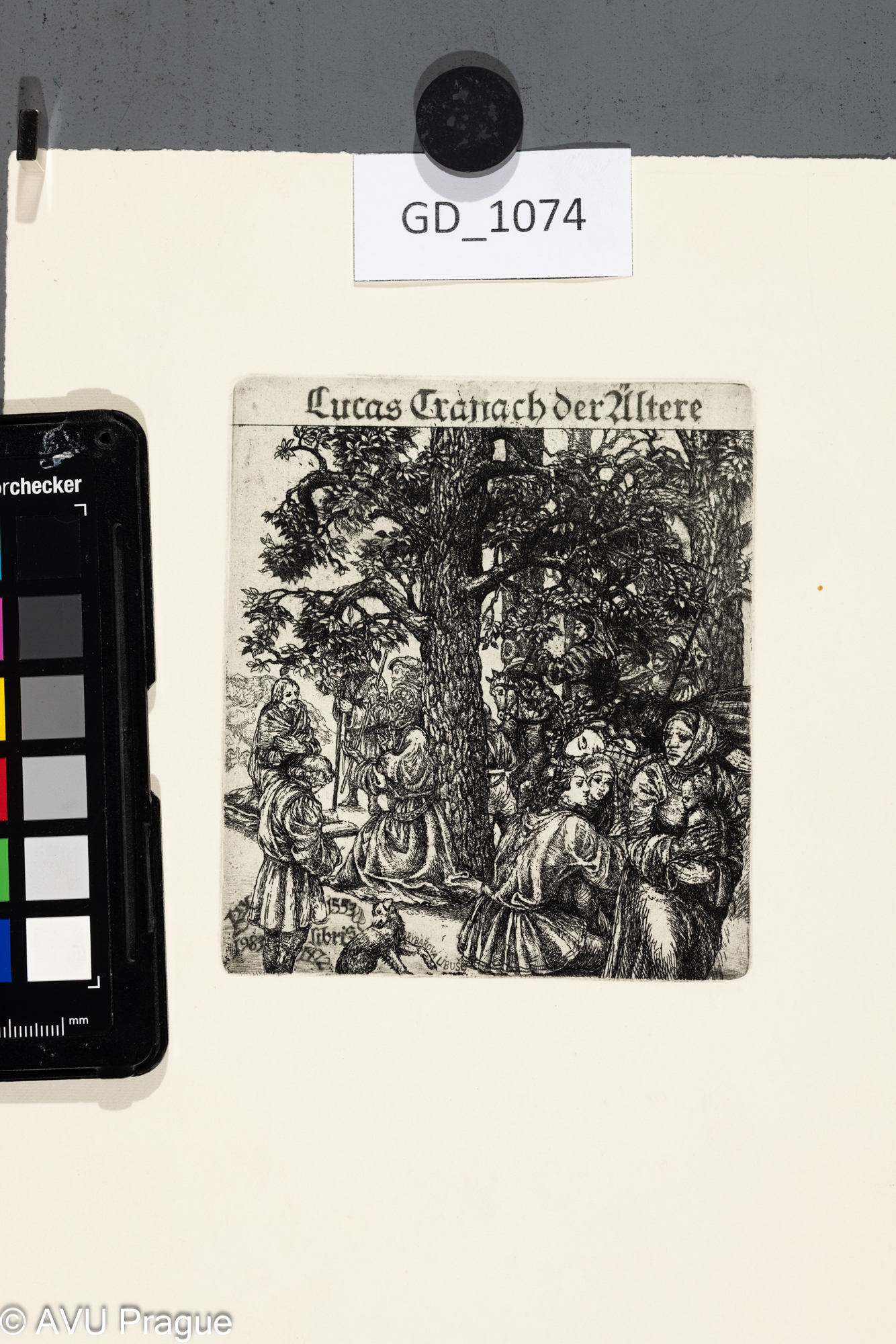 Ivana Kantůrková, kopie - Lucas Cranach der altere, 1983, Lept,11,2 x 9,9, 25,5 x 18,3, Čepelák