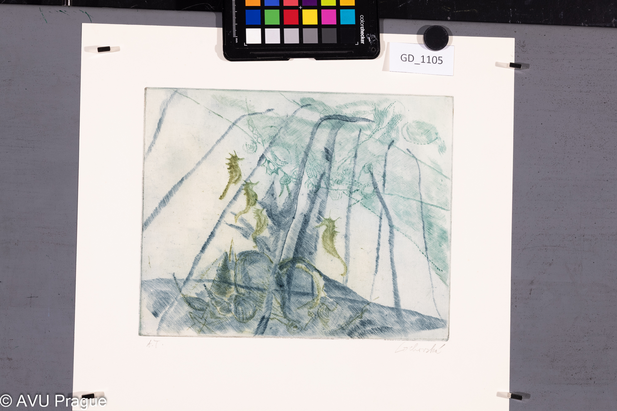 Jana Lochovská, Mořští koníci,Suchá jehla - soutisk dvě barvy,19,6 x 24,6 , 30,7 x 34,8, Čepelák