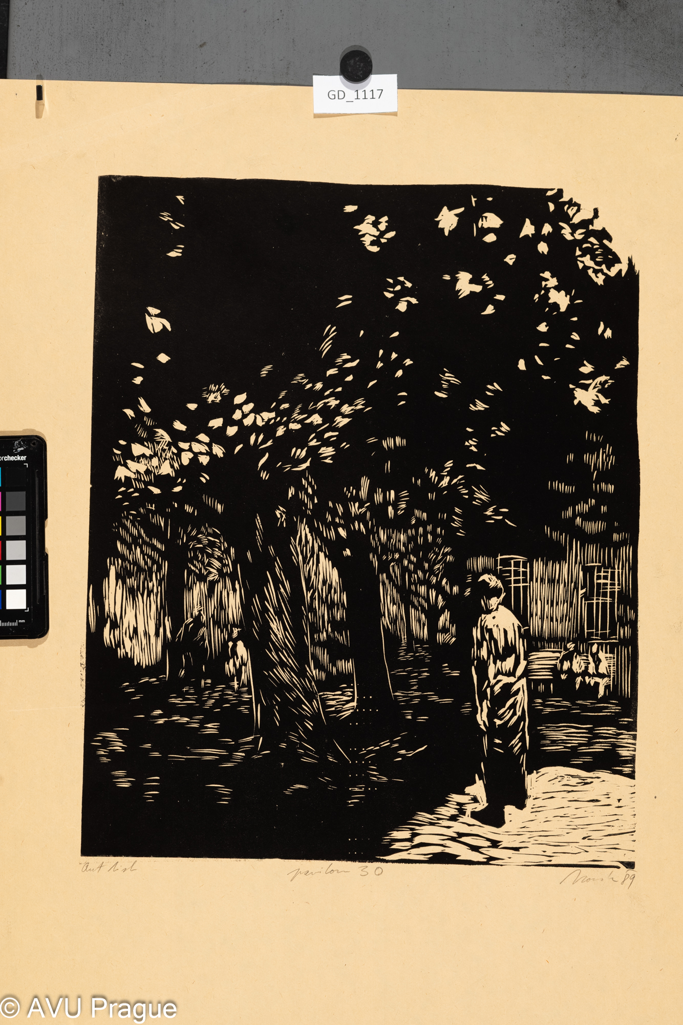 Petr Novák, Pavilon 30, 1989, Linoryt, 41,8 x 33,6, 61,5 x 47,6,